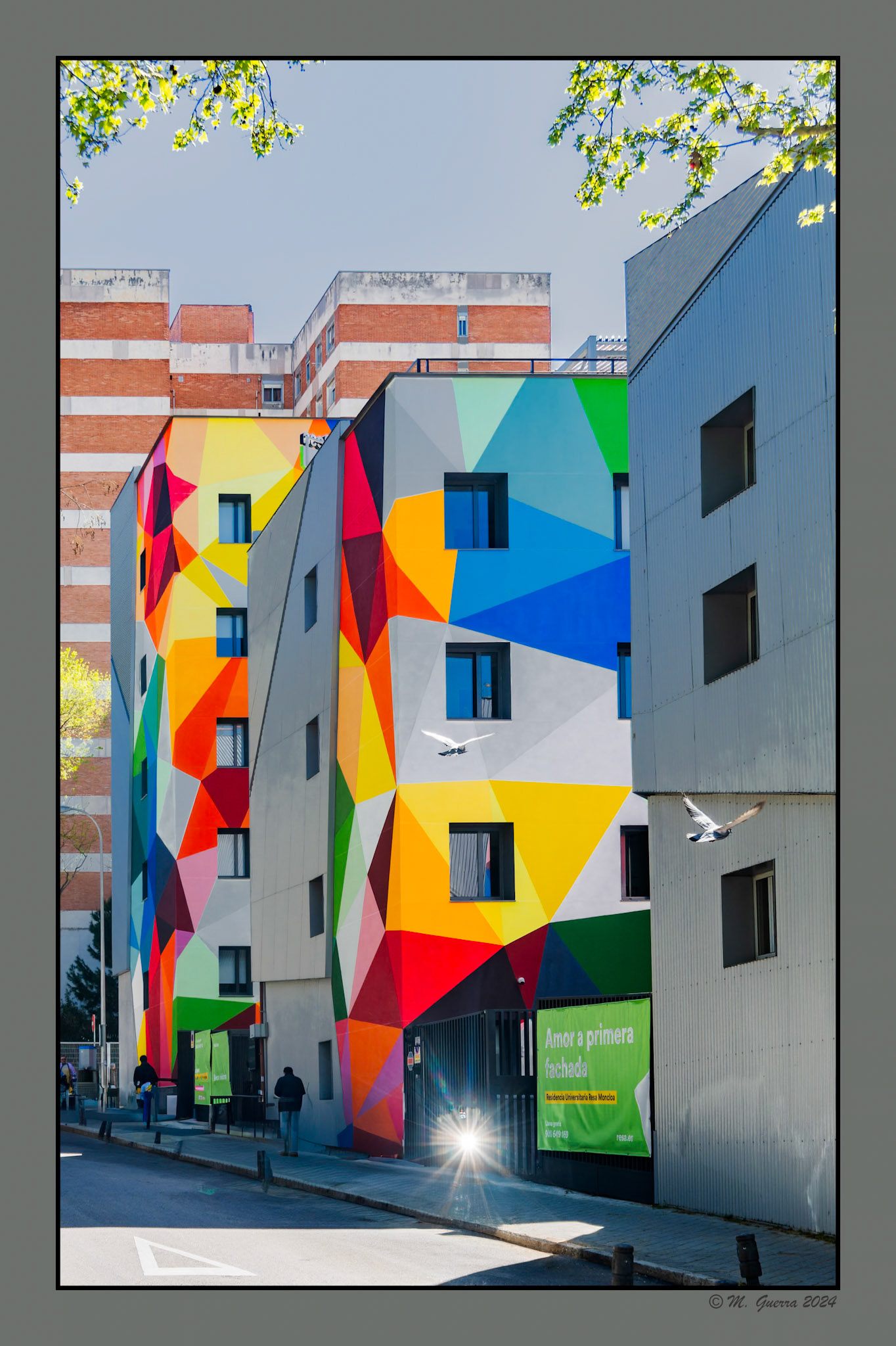 Colegio Mayor