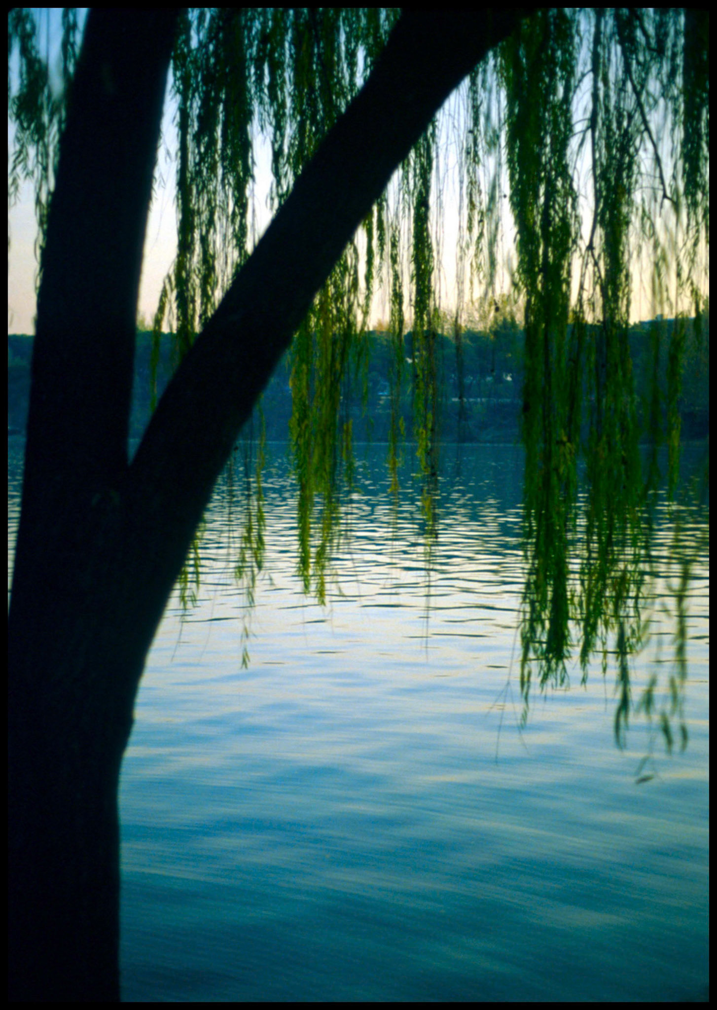 El lago de la casa de campo en Madrid. Ampliar