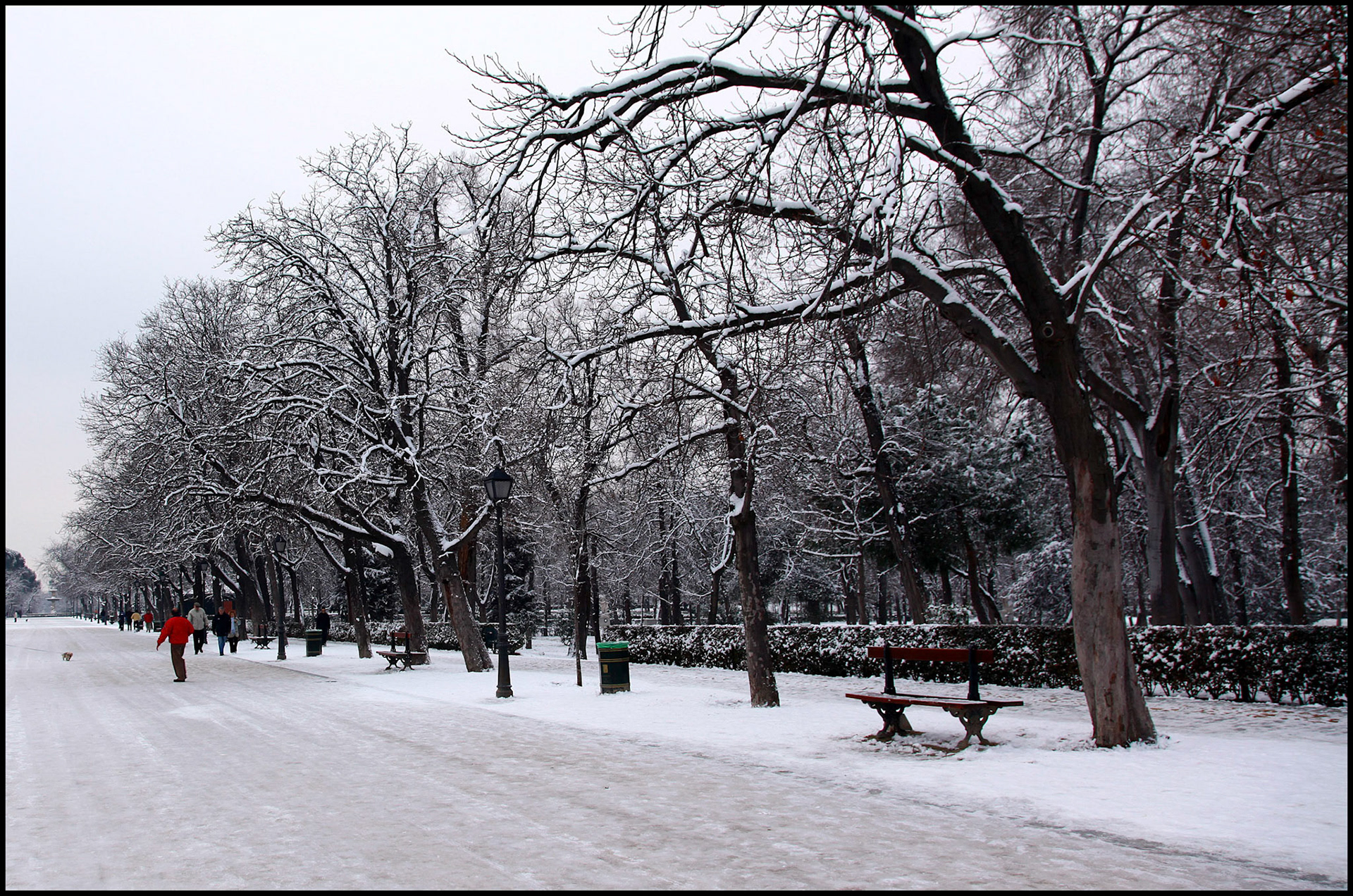 El parque del Retiro de Madrid con nieve. Ampliar