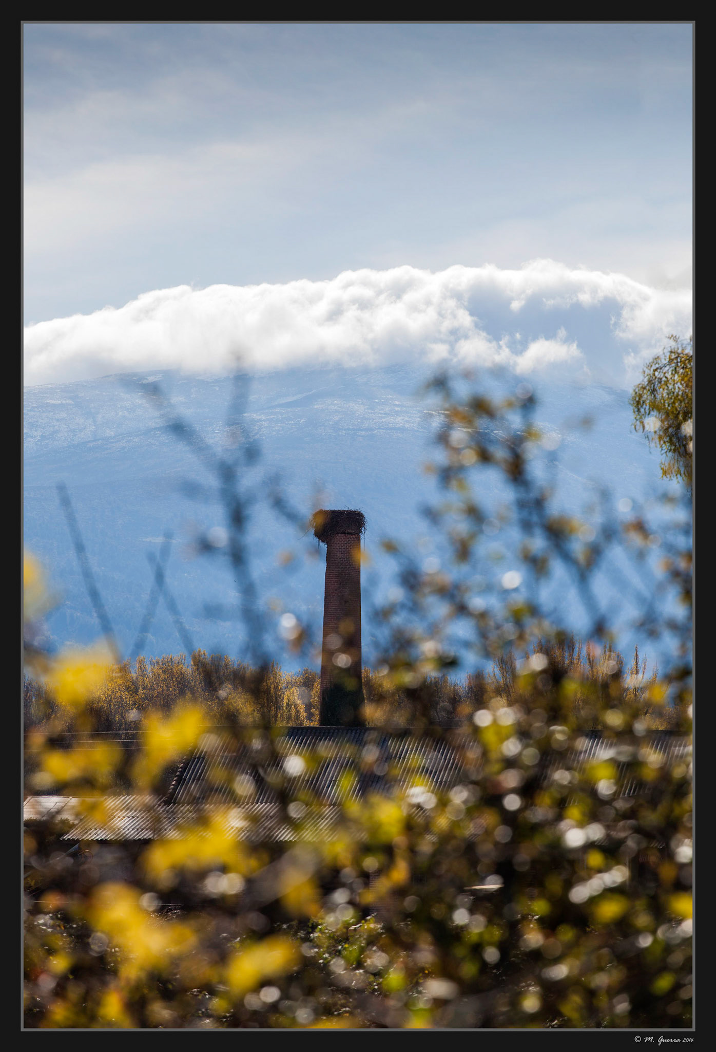 Chimenea con nido de cigüeña en las serrerías belgas en Rascafría. Ampliar