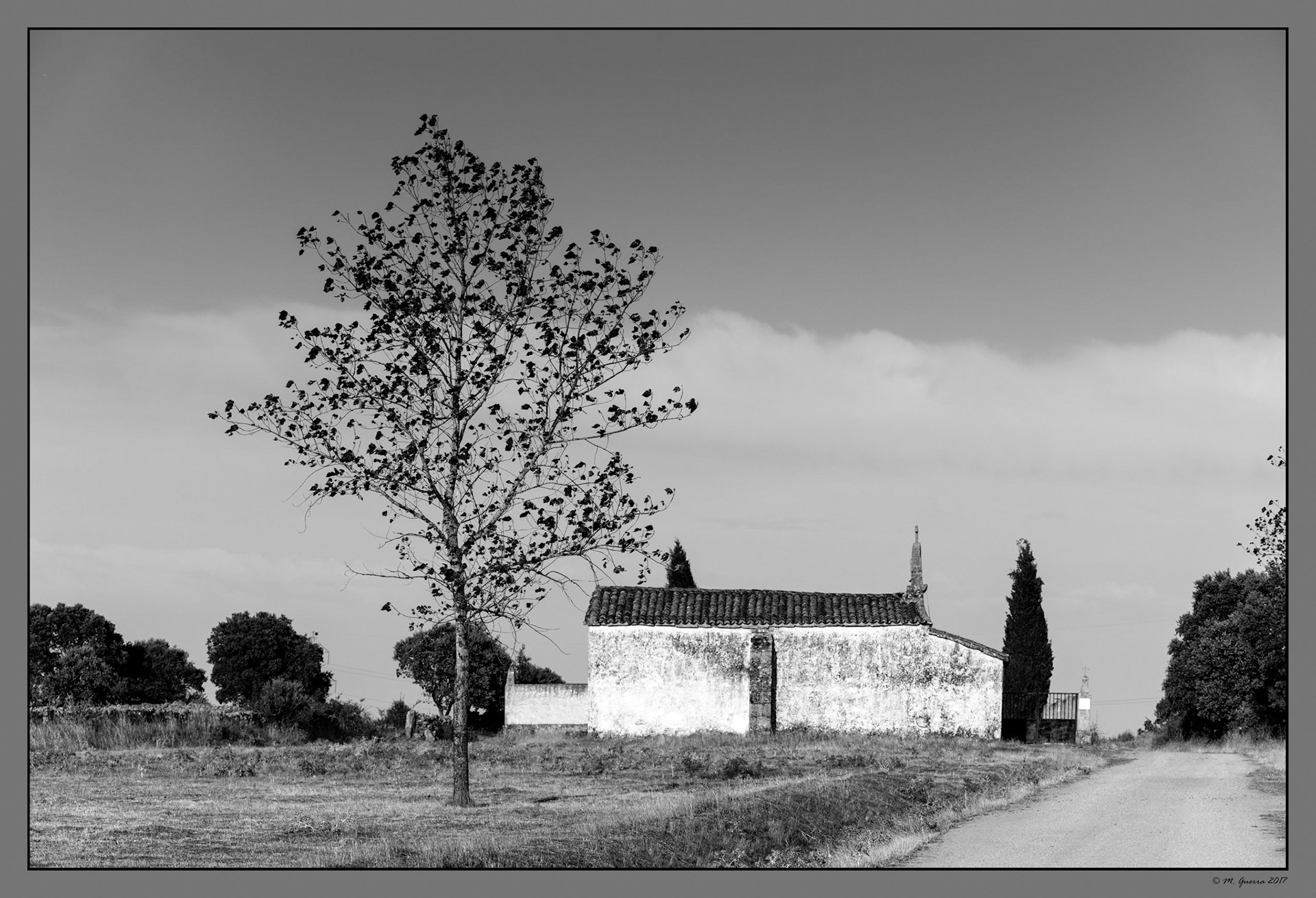 El cementerio de Zafara. Ampliar