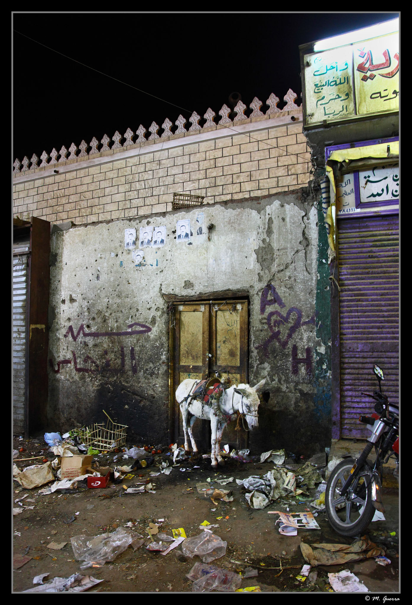 Un burro en una calle de Luxor. Ampliar