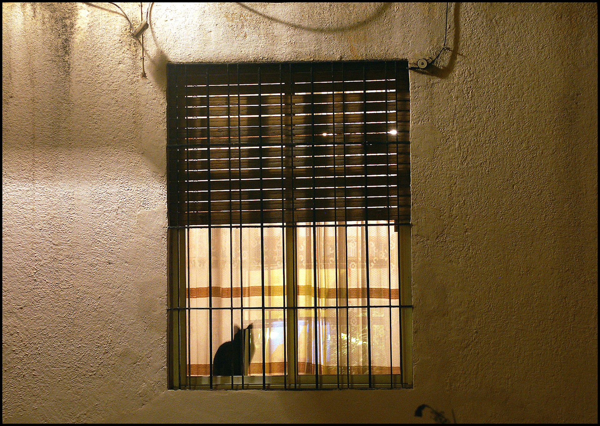 Gato en ventana en Córdoba. Ampliar. 100ASA