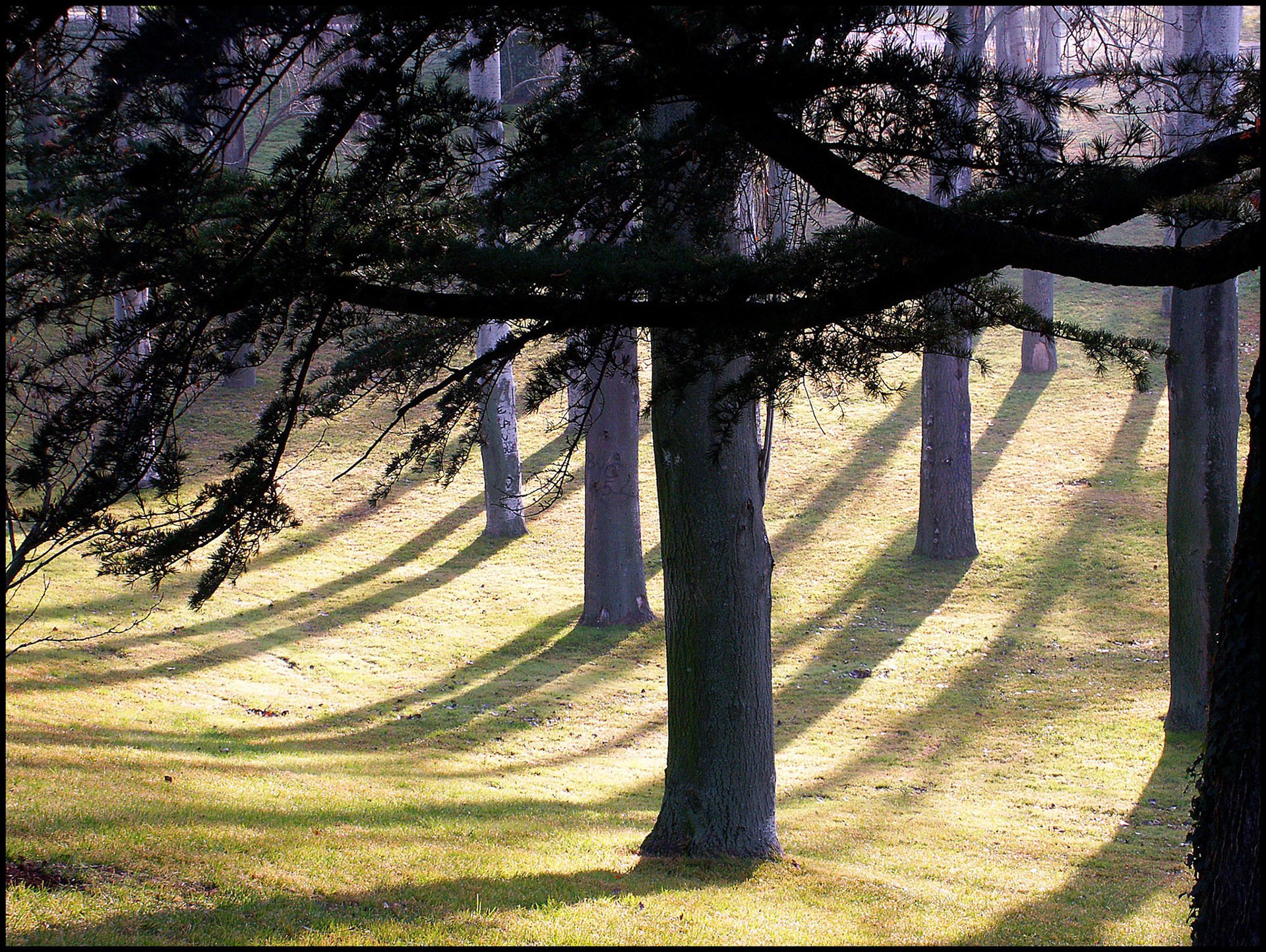 El parque del Oeste de Madrid. Ampliar