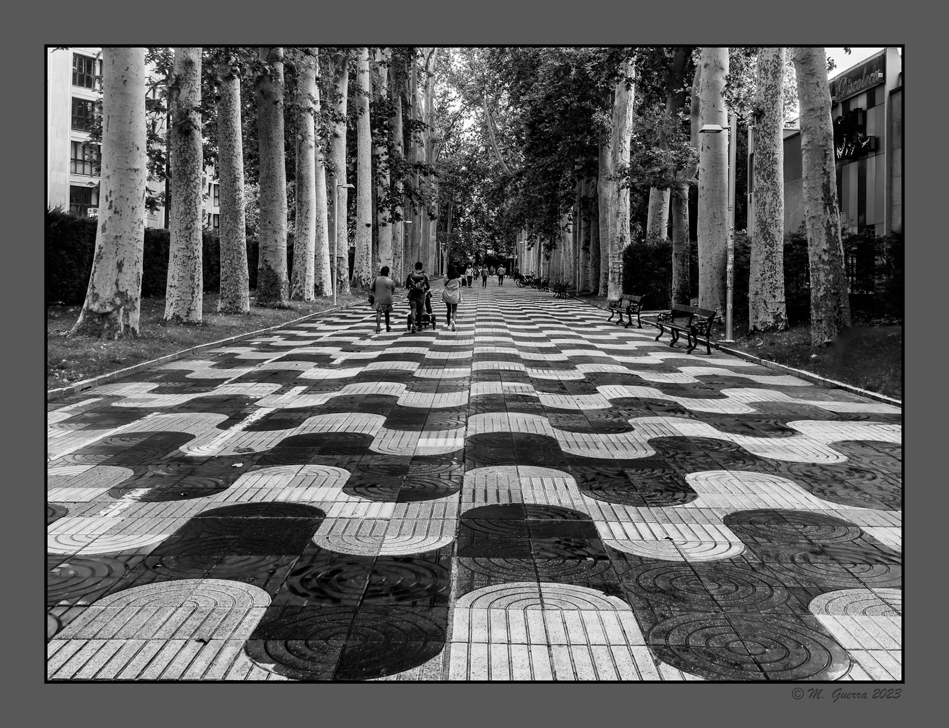 Paseo enlosado y flanqueado por árboles en Vitoria