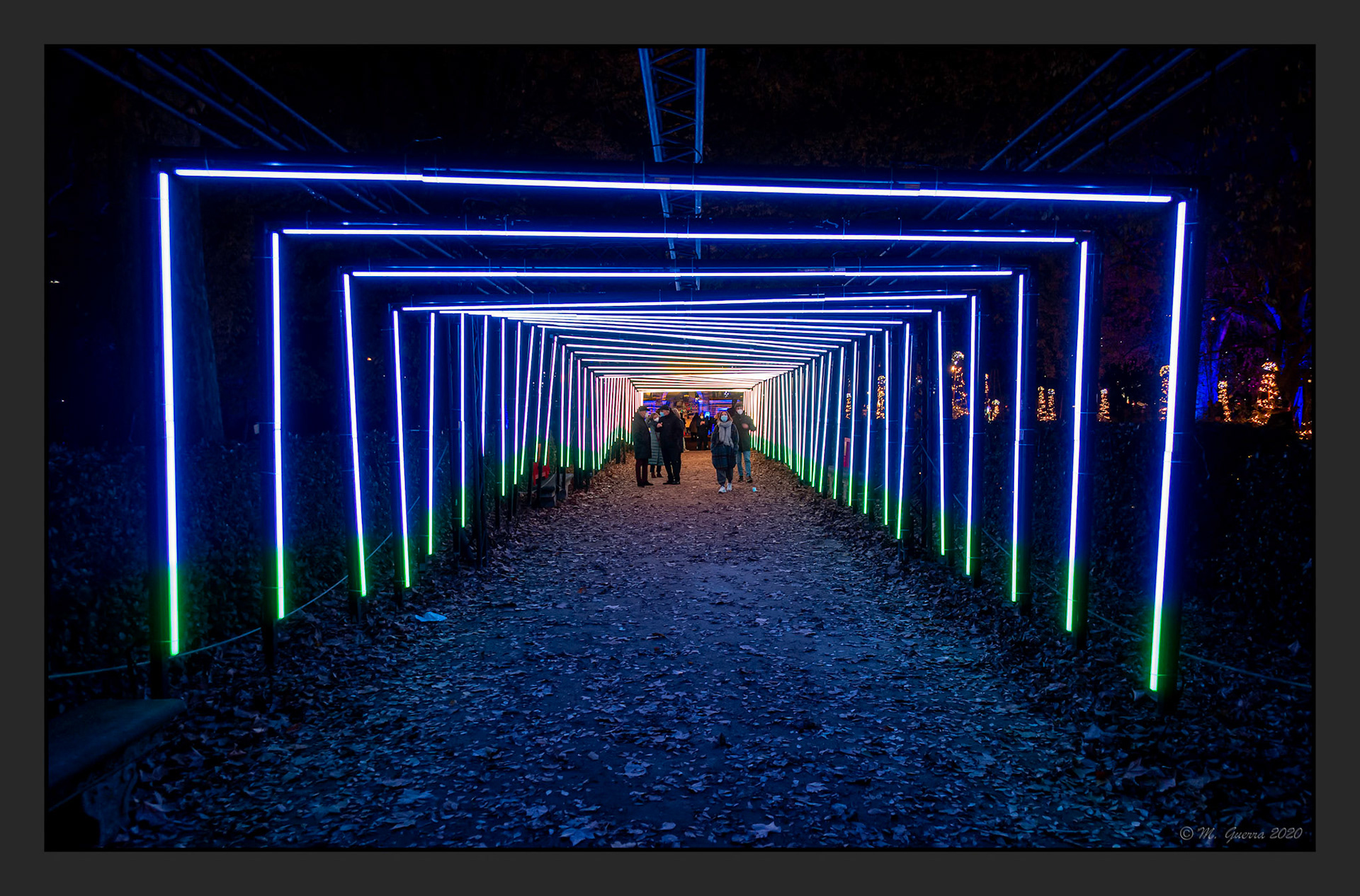 Sucesión de pórticos iluminados en el espectáculo de la Naturaleza Encendida en el Jardín Botánico. Ampliar