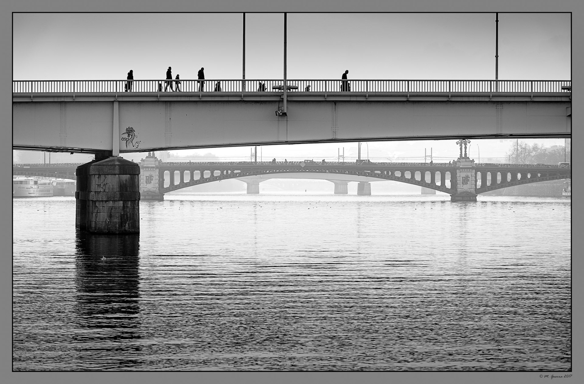 Puentes sobre el río en Lyon. Ampliar. 100ASA