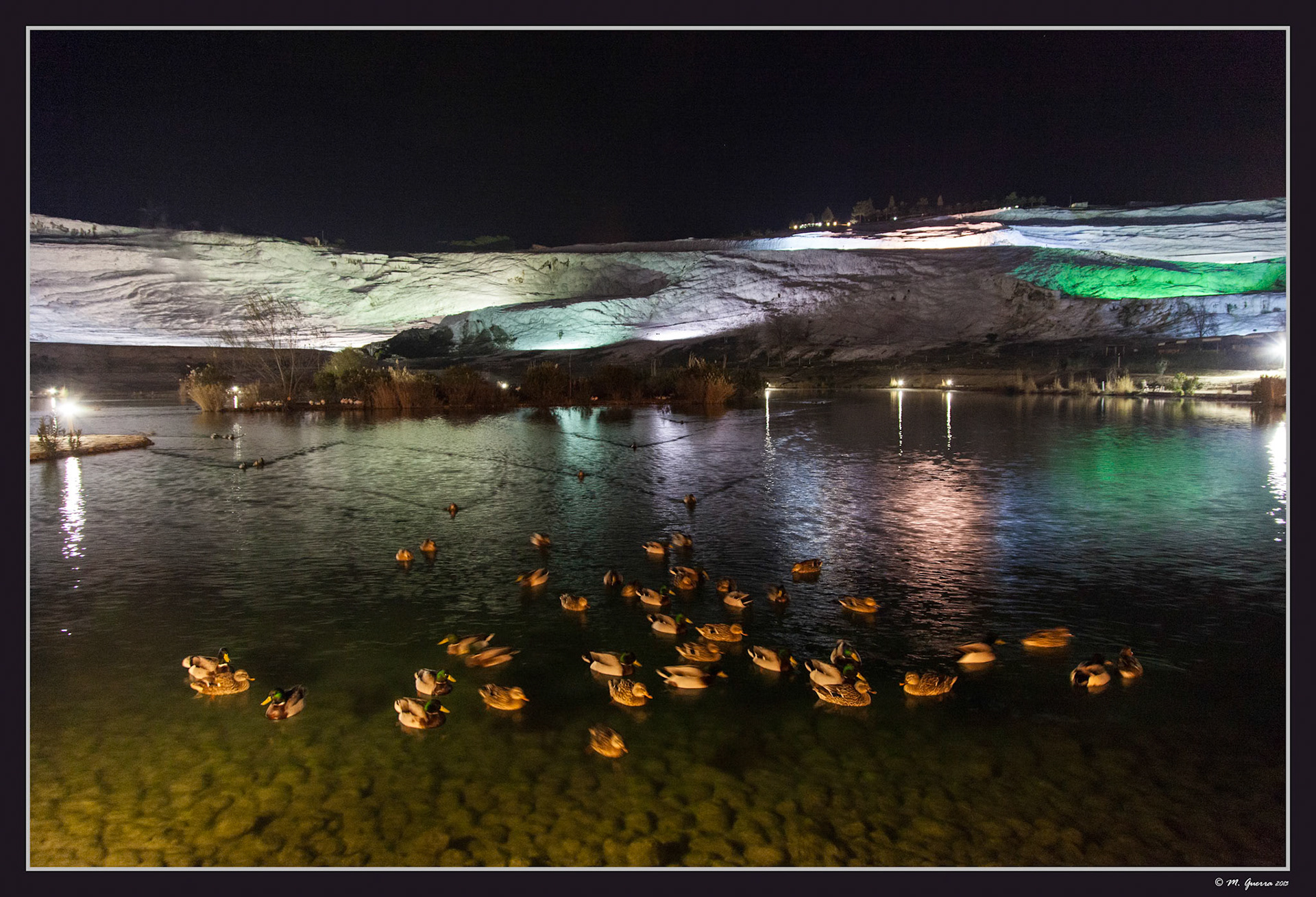 Patos acercándoe a la orilla buscando comida en el estanque de Pammukale. Ampliar