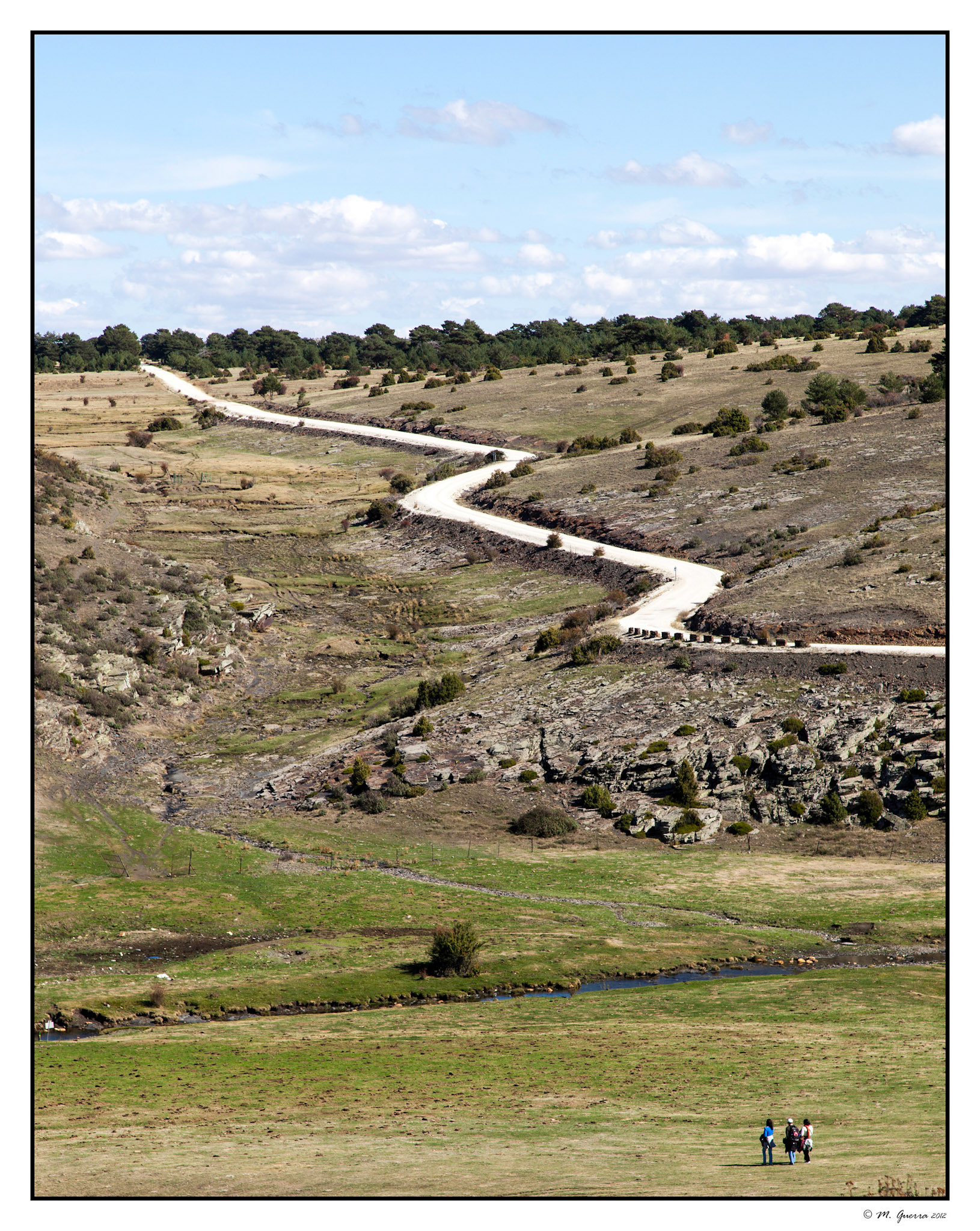 El sinuoso camino del Hayedo de la Tejera Negra. Ampliar