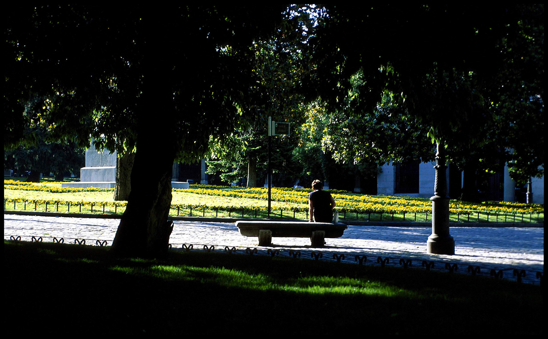 Parque en Madrid, en la zona de Cibeles. Ampliar