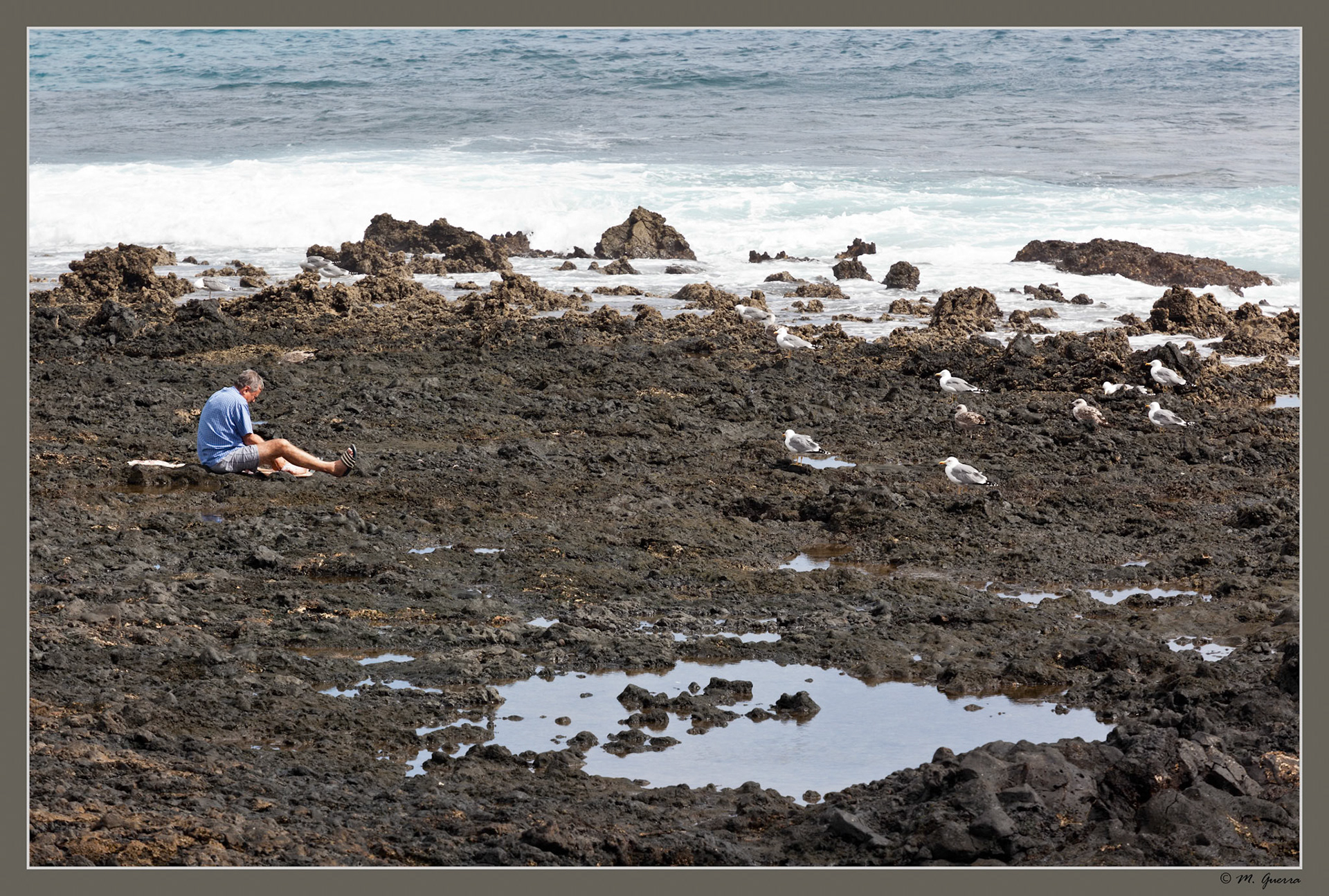 Un pescador limpiando pescado en el pueblo de Arrieta en Lanzarote con gaviotas. Ampliar