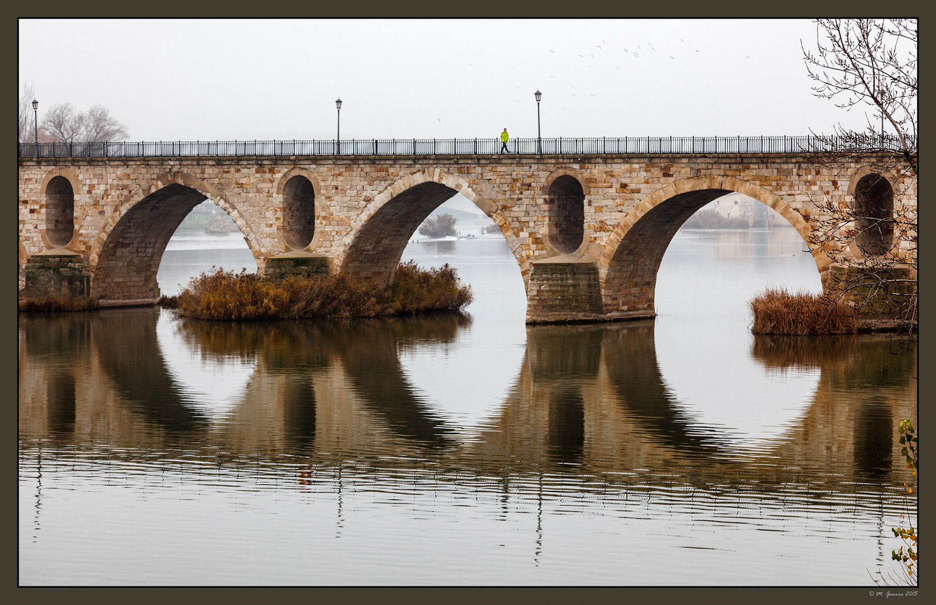 El puente de piedra sobre el río Duero en Zamora. Ampliar