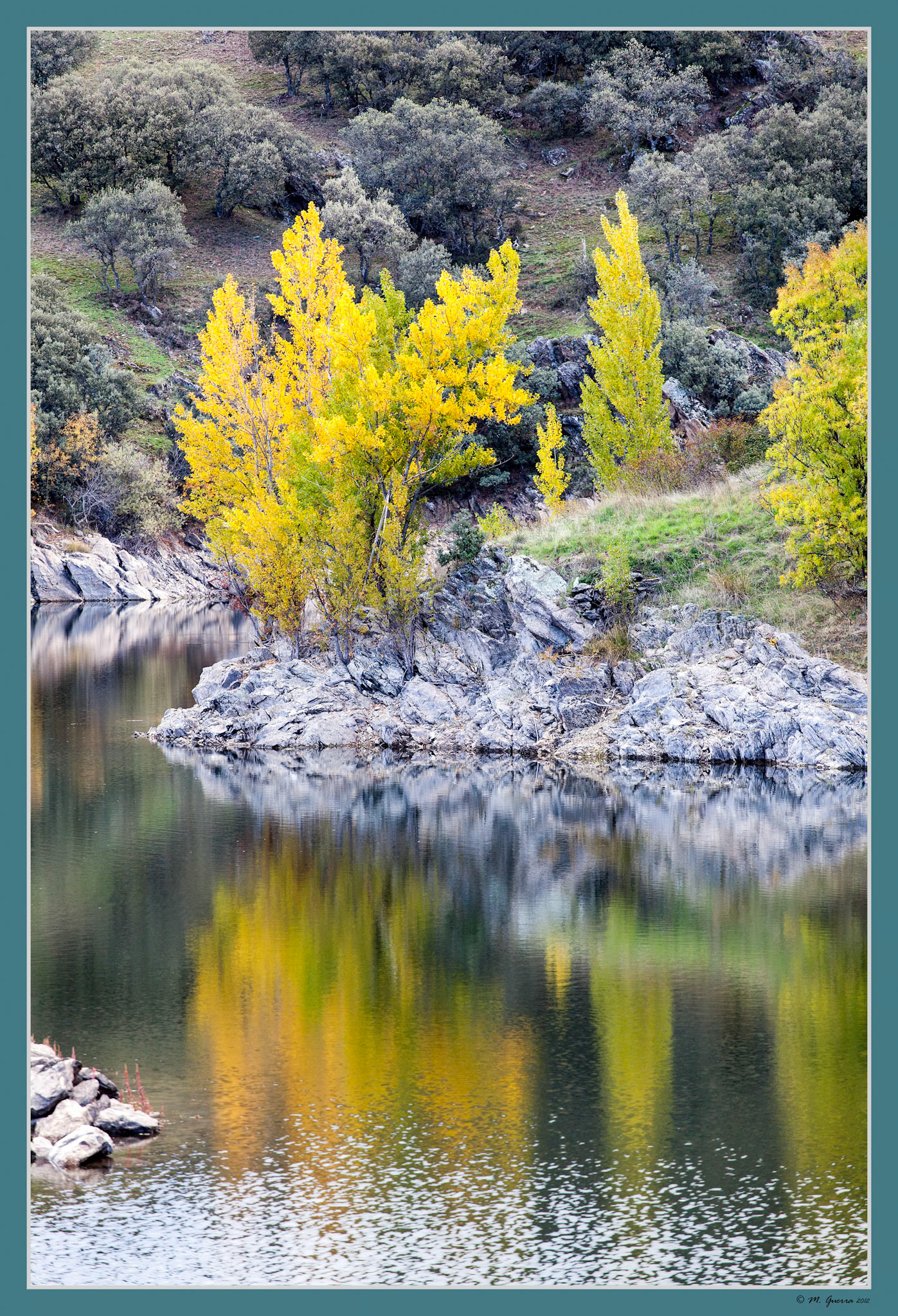 Árboles a la orilla del embalse en Buitrago de Lozoya. Ampliar