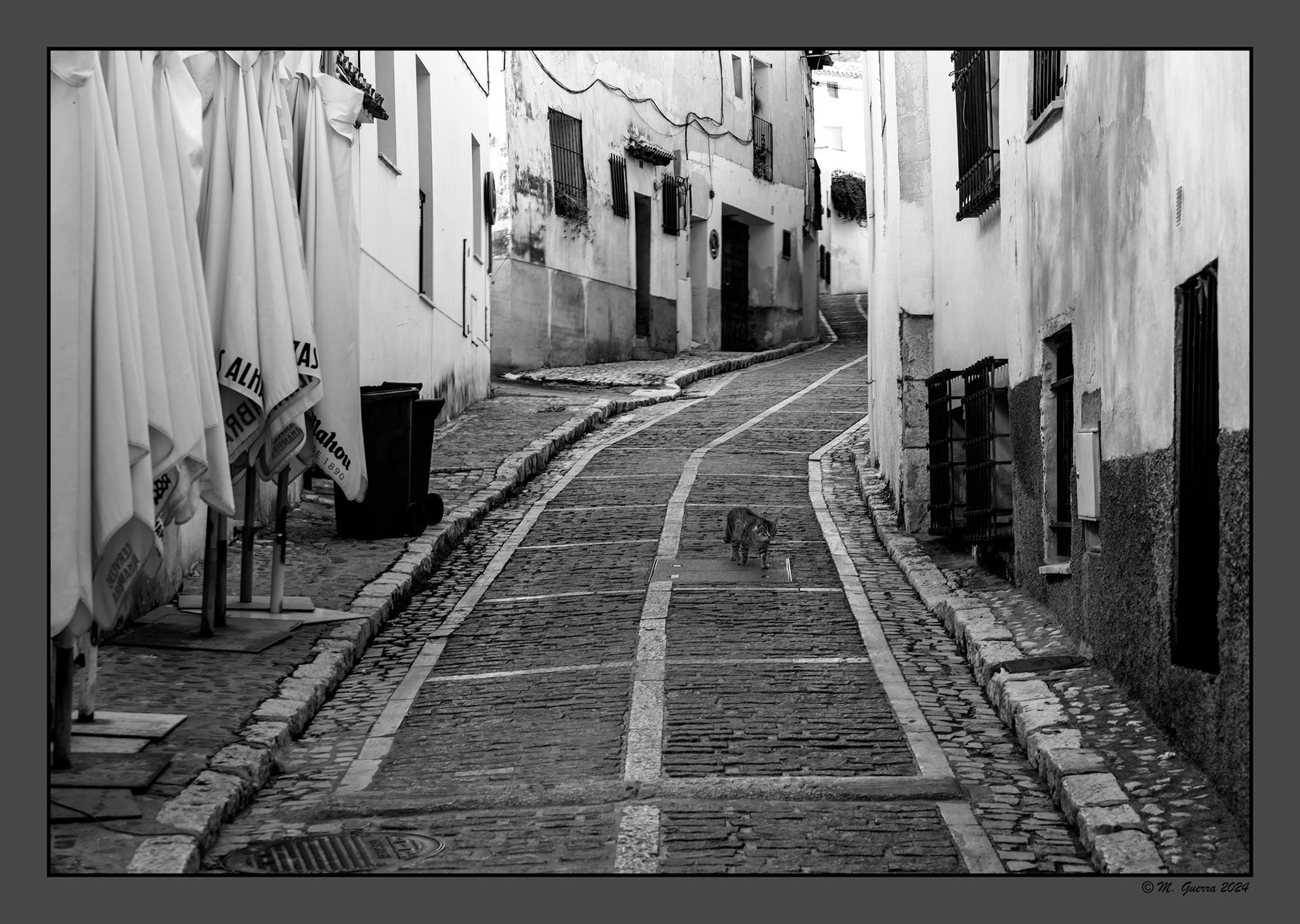 Calle empinada en Chinchón con un gato en medio. 100ASA