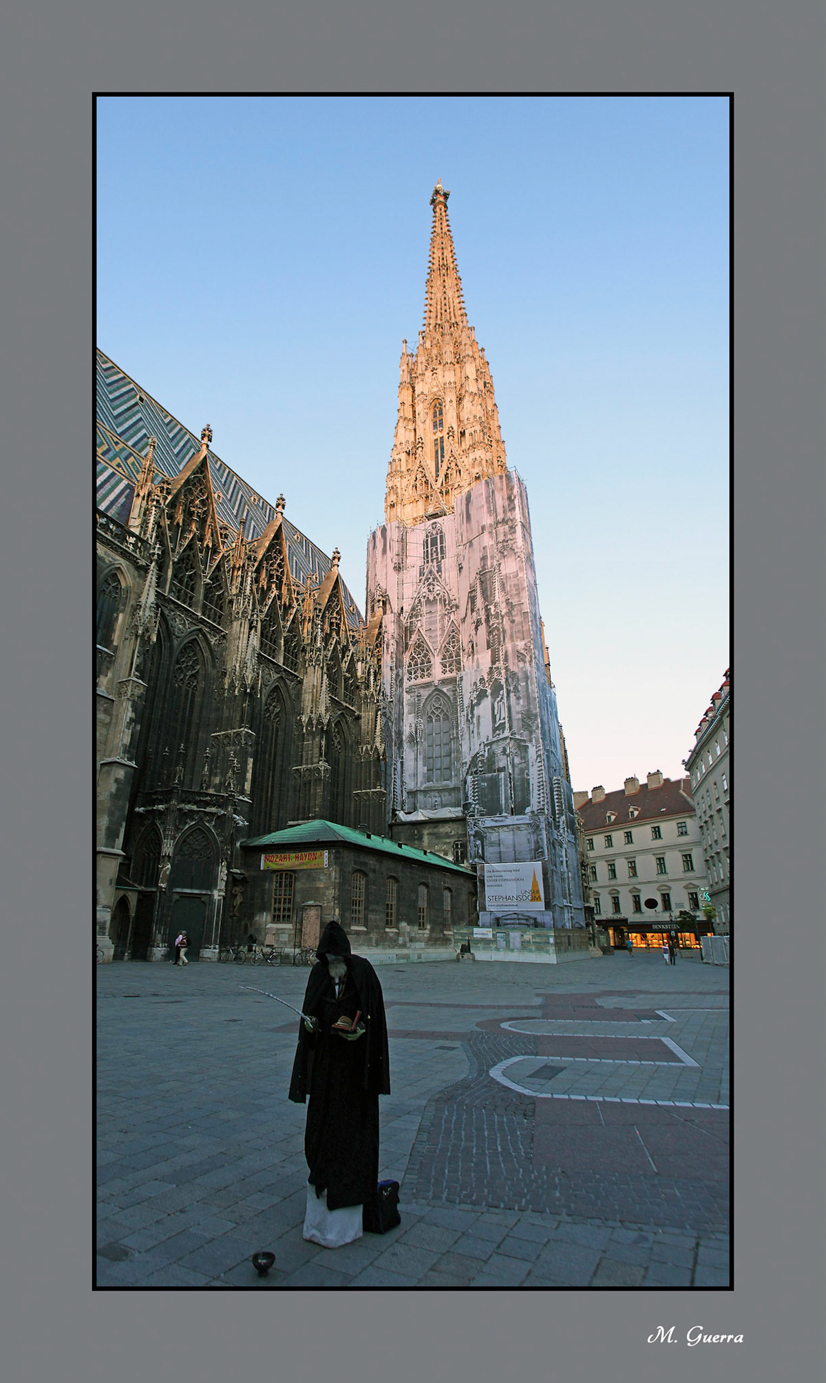 Mimo en la catedral de Viena. Ampliar