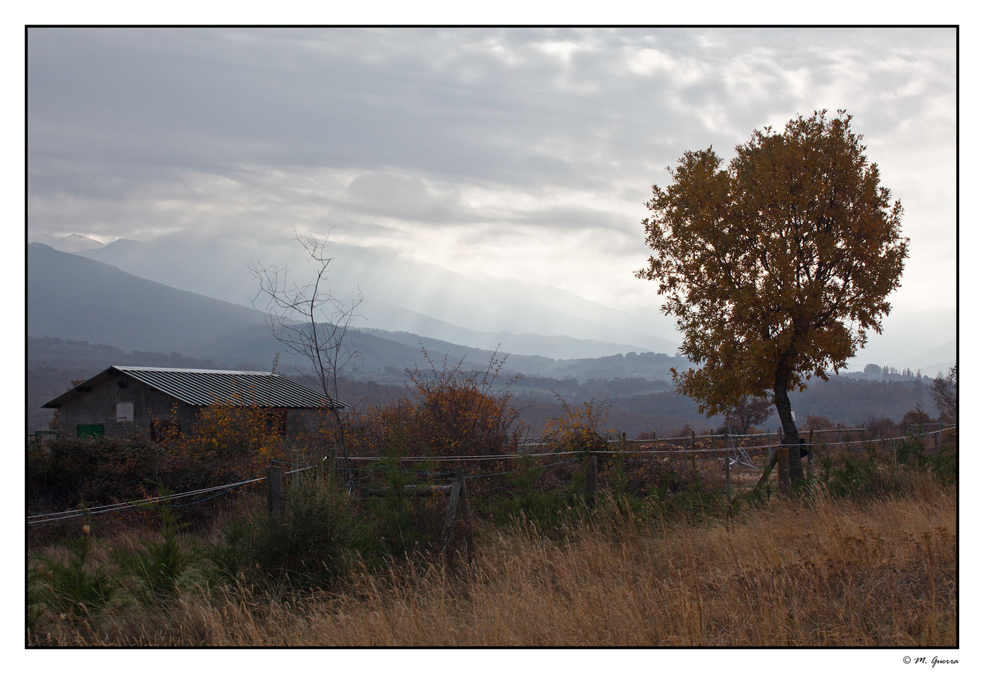 Árbol y casa solitarios en la sierra pobre de Madrid. Ampliar