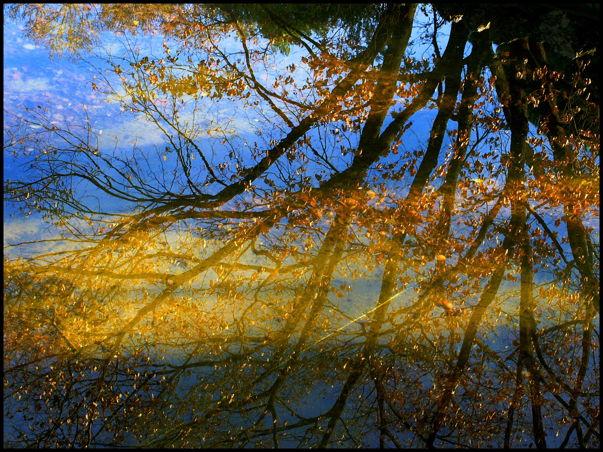Reflejos en el agua en El parque de El Capricho en Madrid. Ampliar