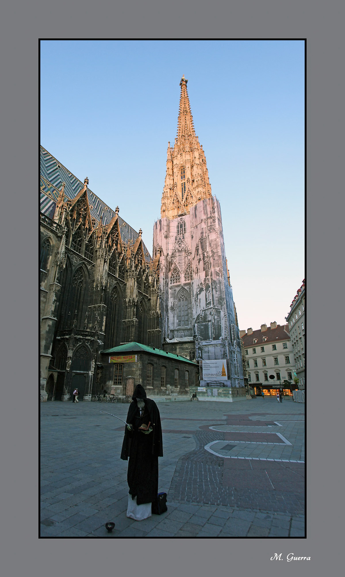 Mimo en la catedral de Viena. Ampliar