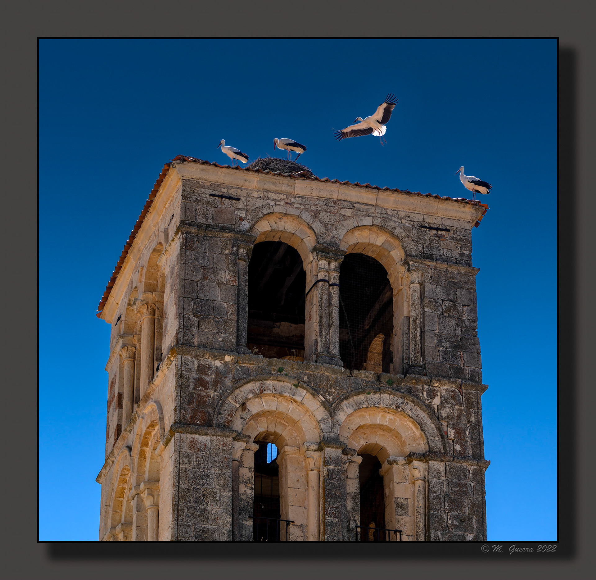 Torre de iglesia con cigüeñas en Pedraza