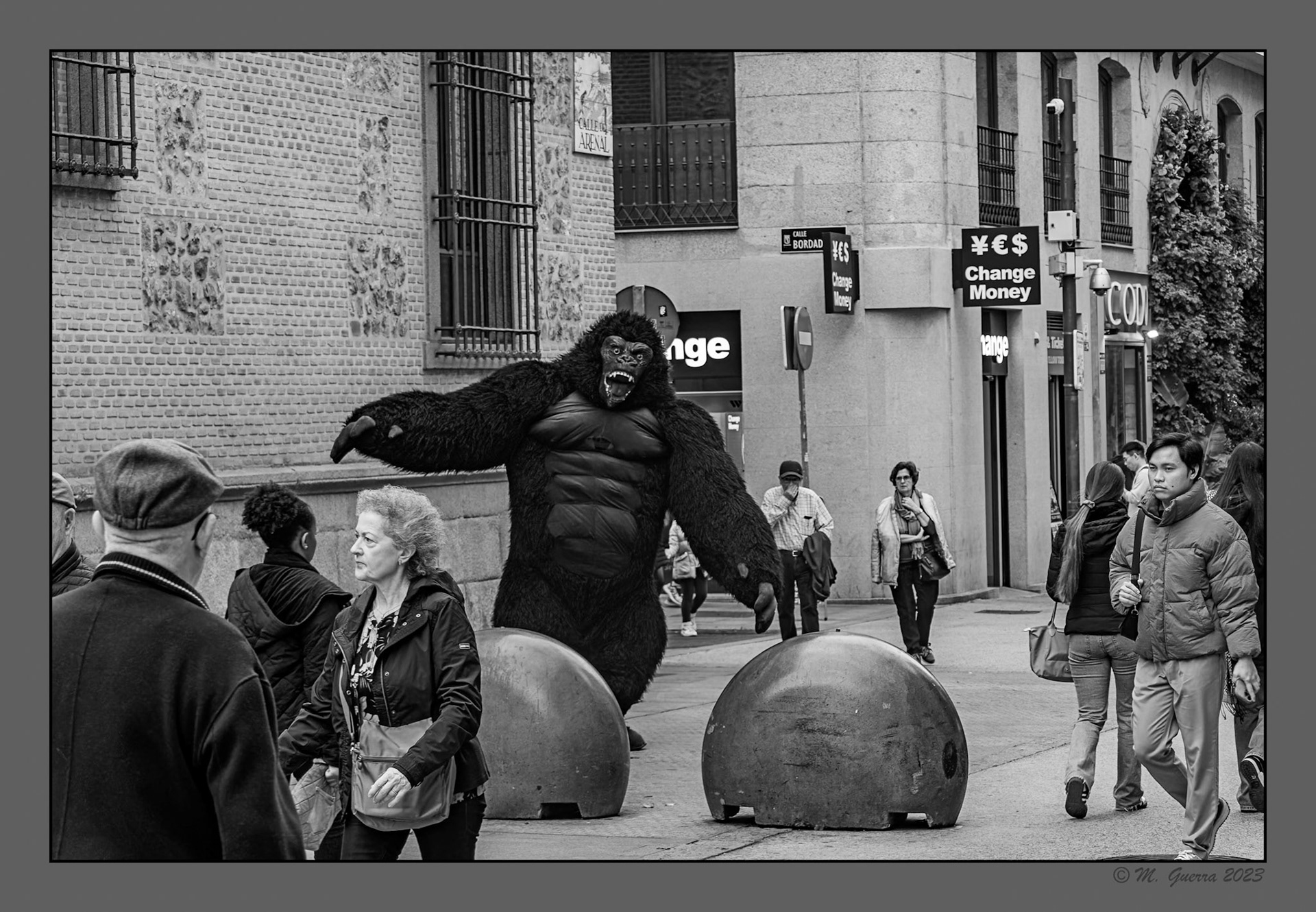 Mimo vestido de gorila en la calle Mayor de Madrid
