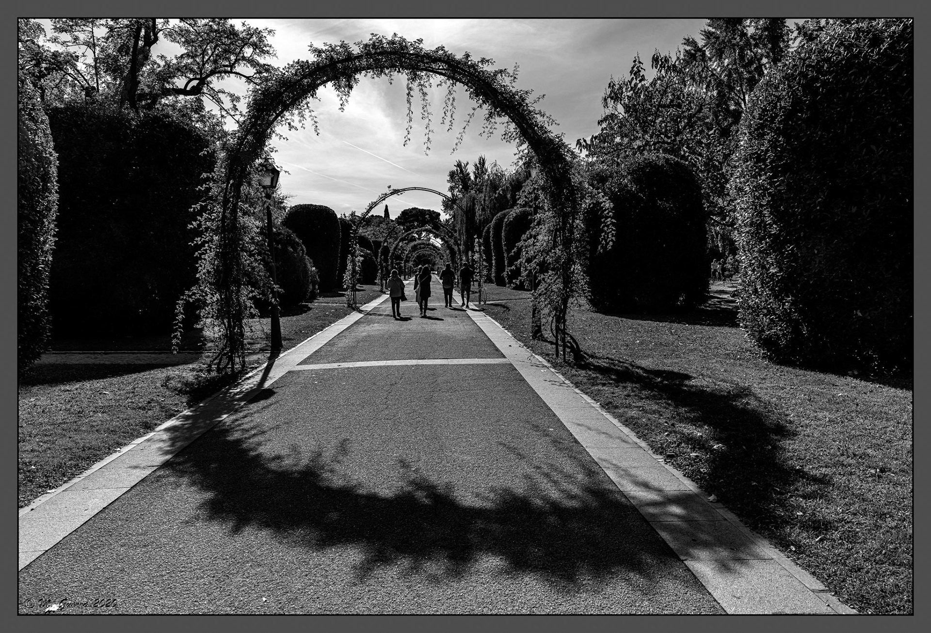 Isabel, Alex, Esther, Carlos y Daniel bajo un arco vegetal en el Retiro