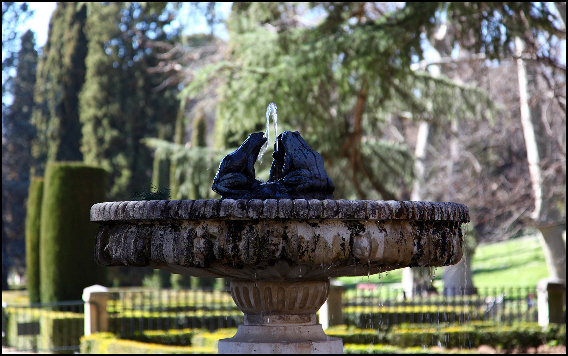 Fuente de ranas en el parque de El Capricho de Madrid. Ampliar