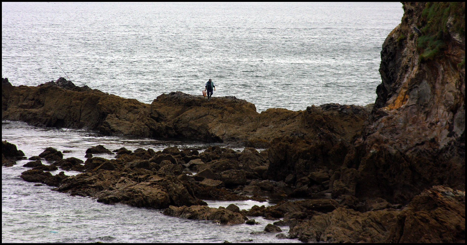 Pescador en Viveiro. Ampliar
