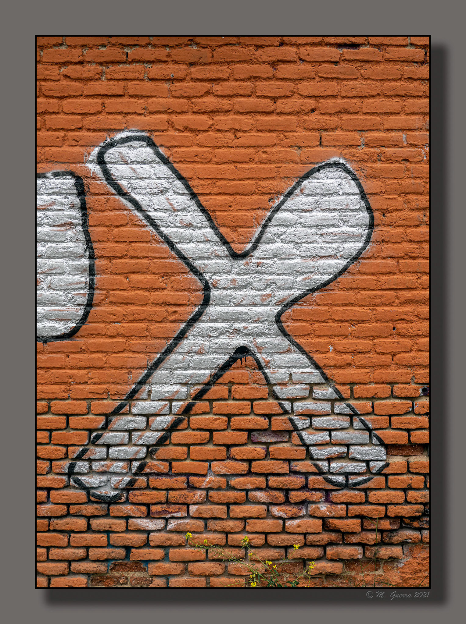 Pintada en forma de X