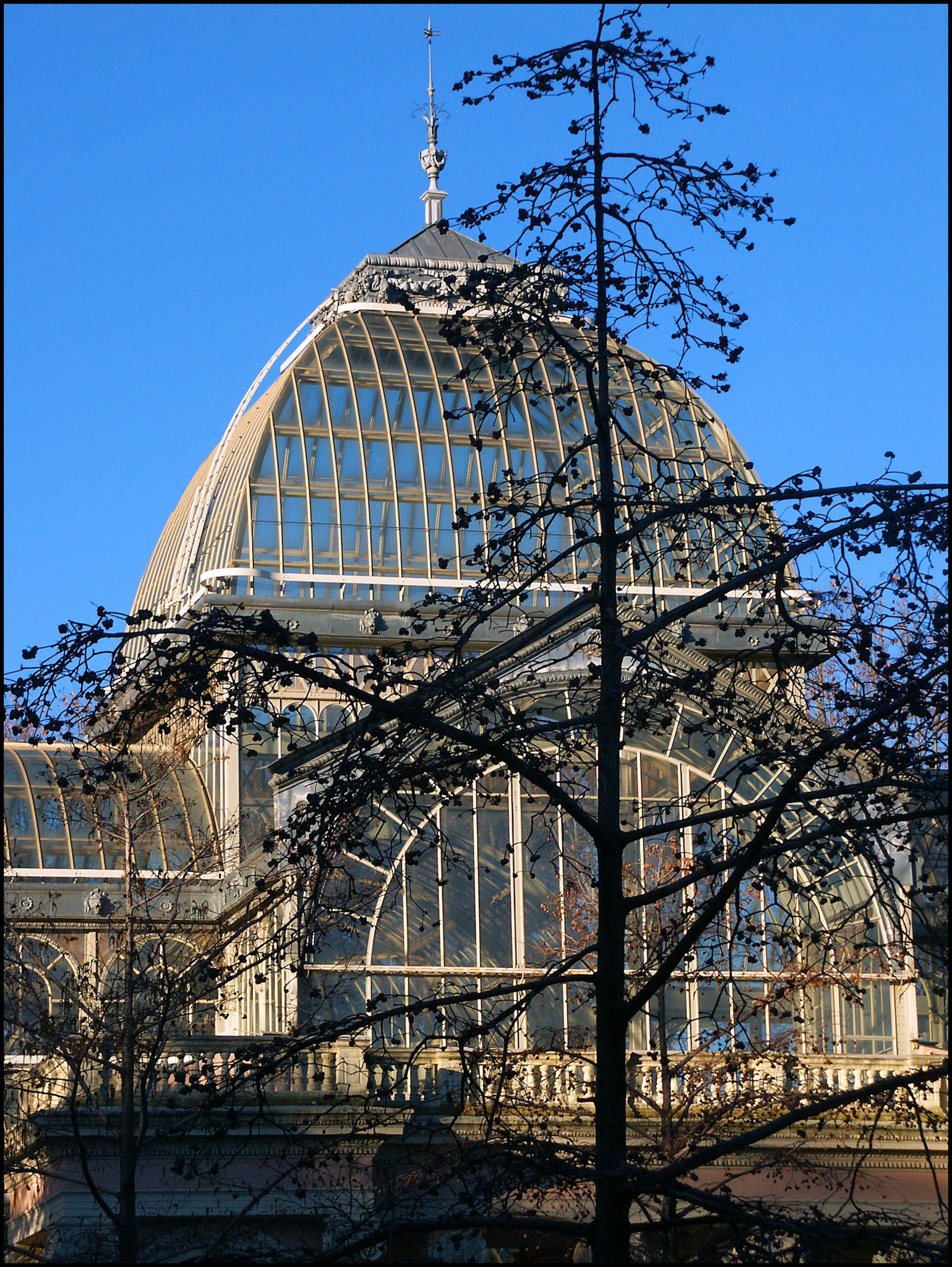 El Palacio de Cristal en el parque de el Retiro de Madrid. Ampliar