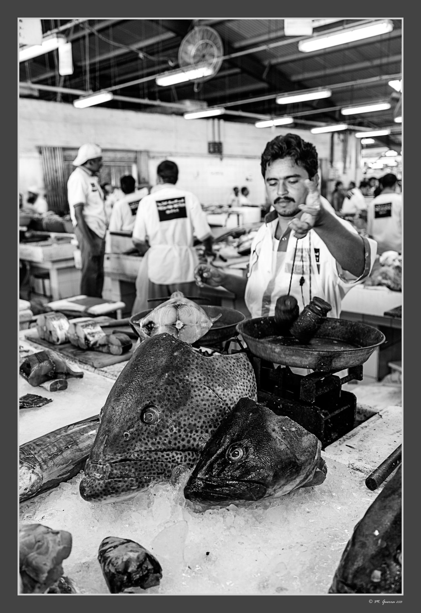 Vendedor de pescado en el marcado de Dubai. Ampliar