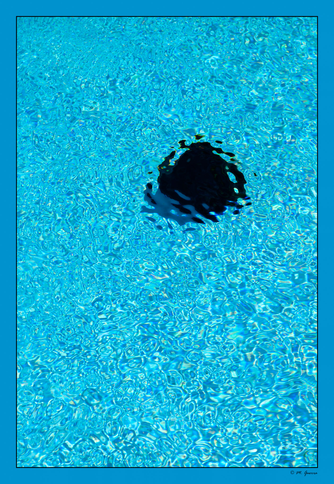 Piedras de lava en La piscina de las instalaciones de los Jameos del Agua en Lanzarote. Ampliar