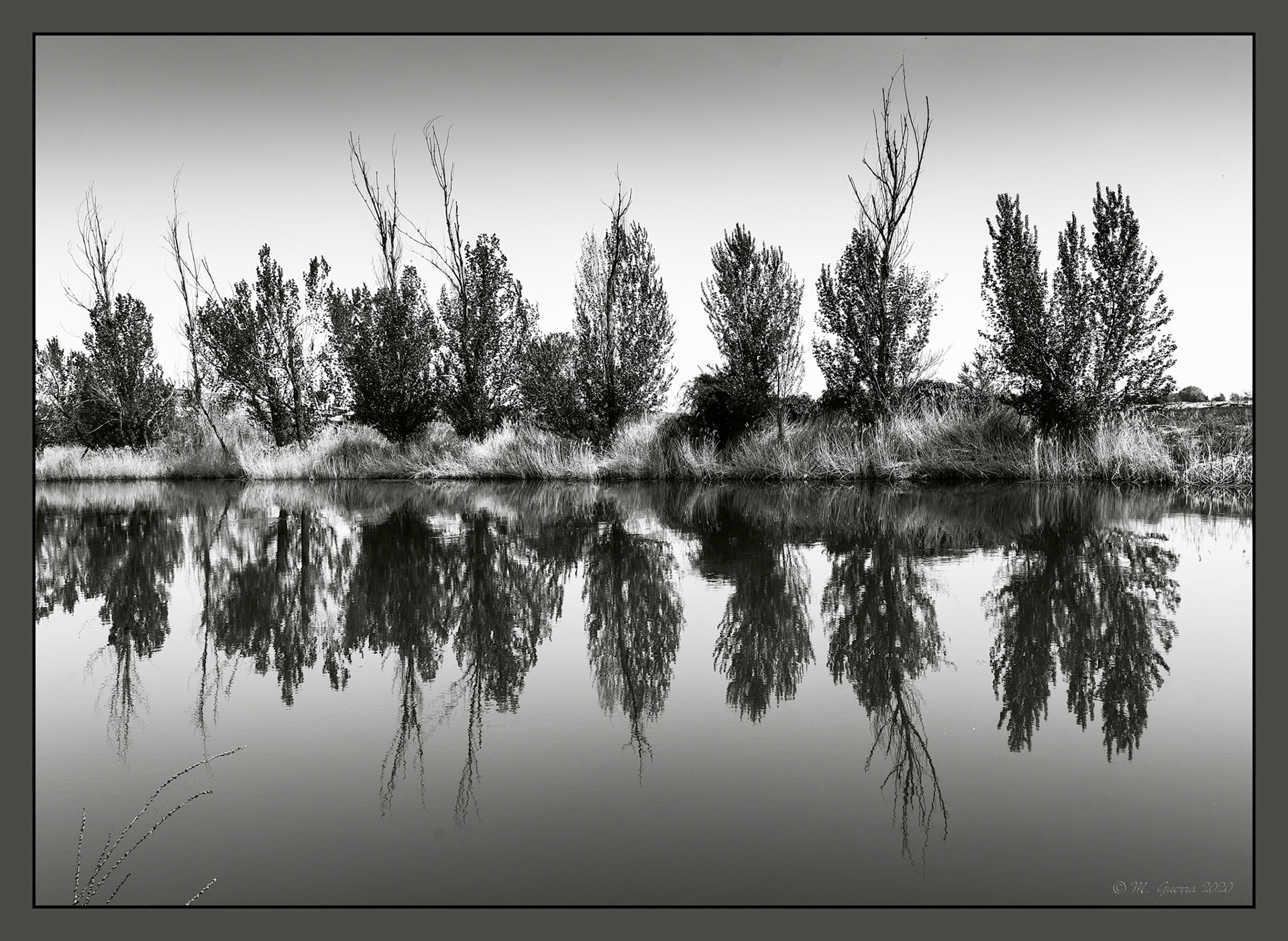 El río Tajo en Fuentidueña de Tajo. 100ASA