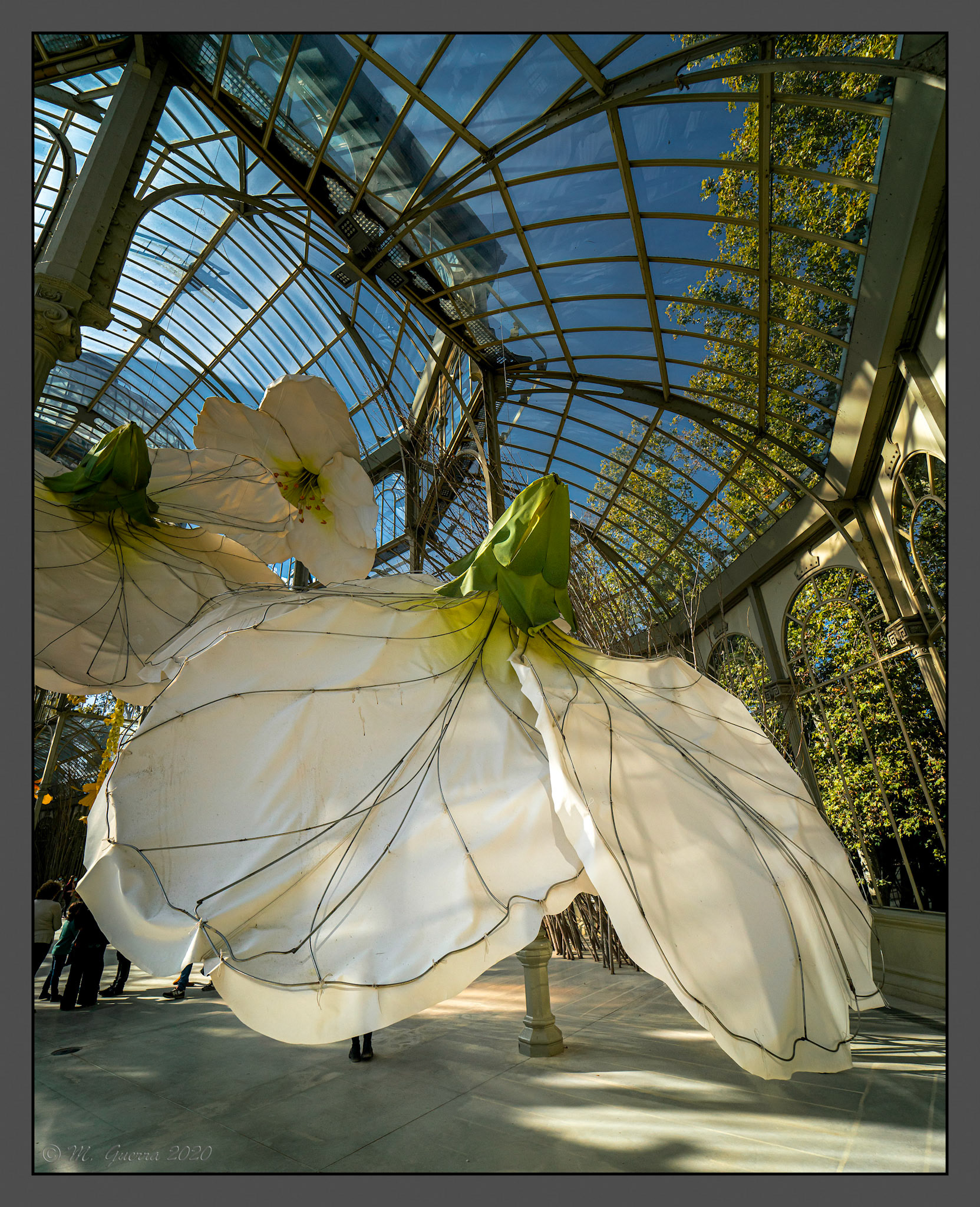 El Palacio de Cristal en el REtiro con la exposición de flores gigantes de Petrit Halilaj