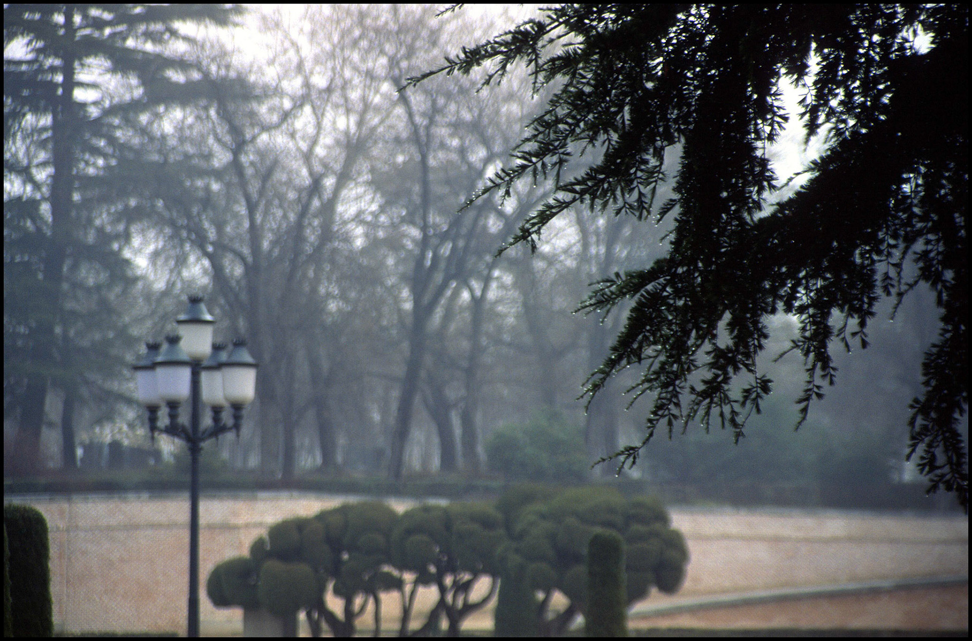 El Parque del Retiro en Madrid. Ampliar
