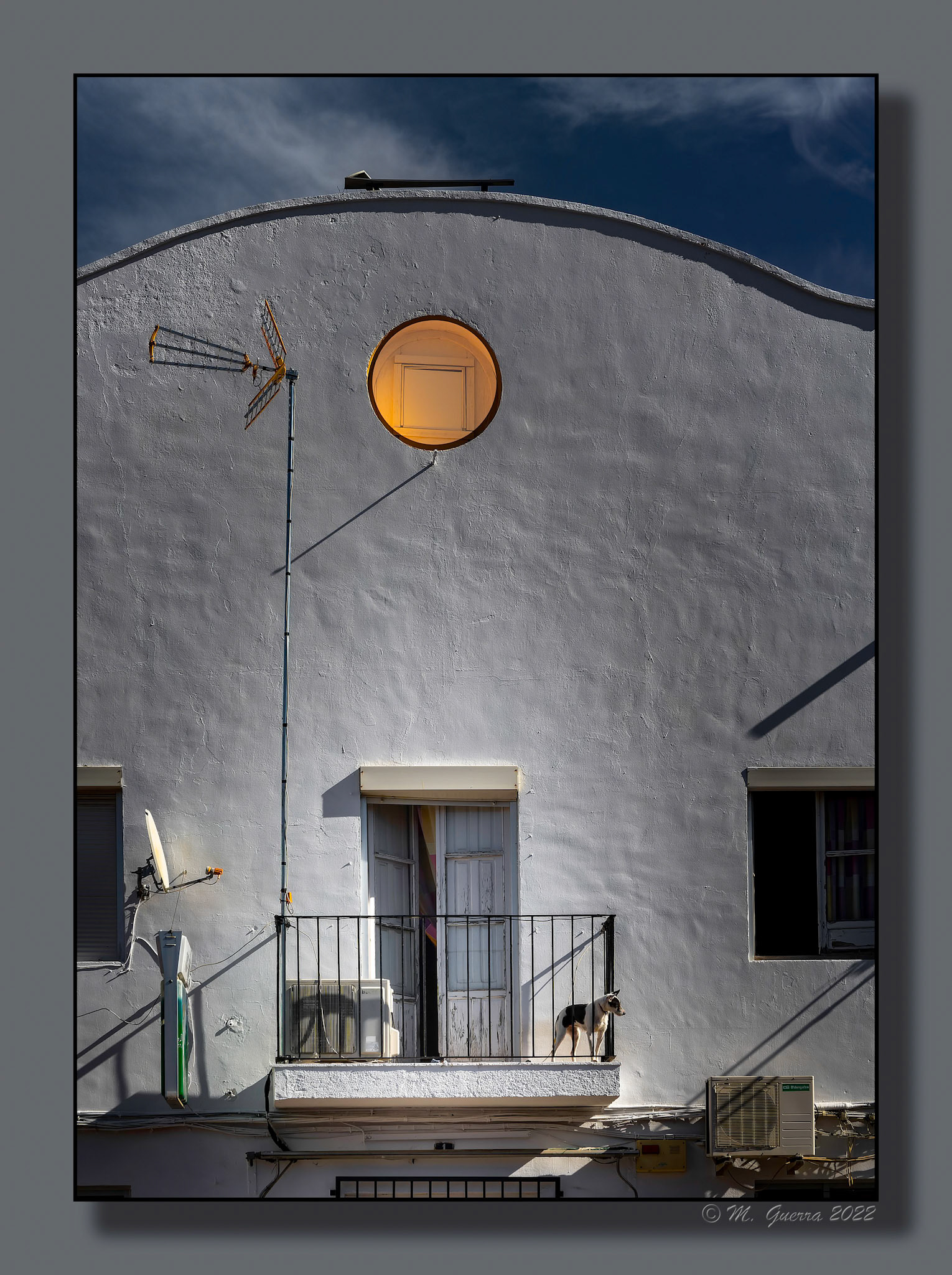 Perro en el balcón de una casa de Malpica de Tajo