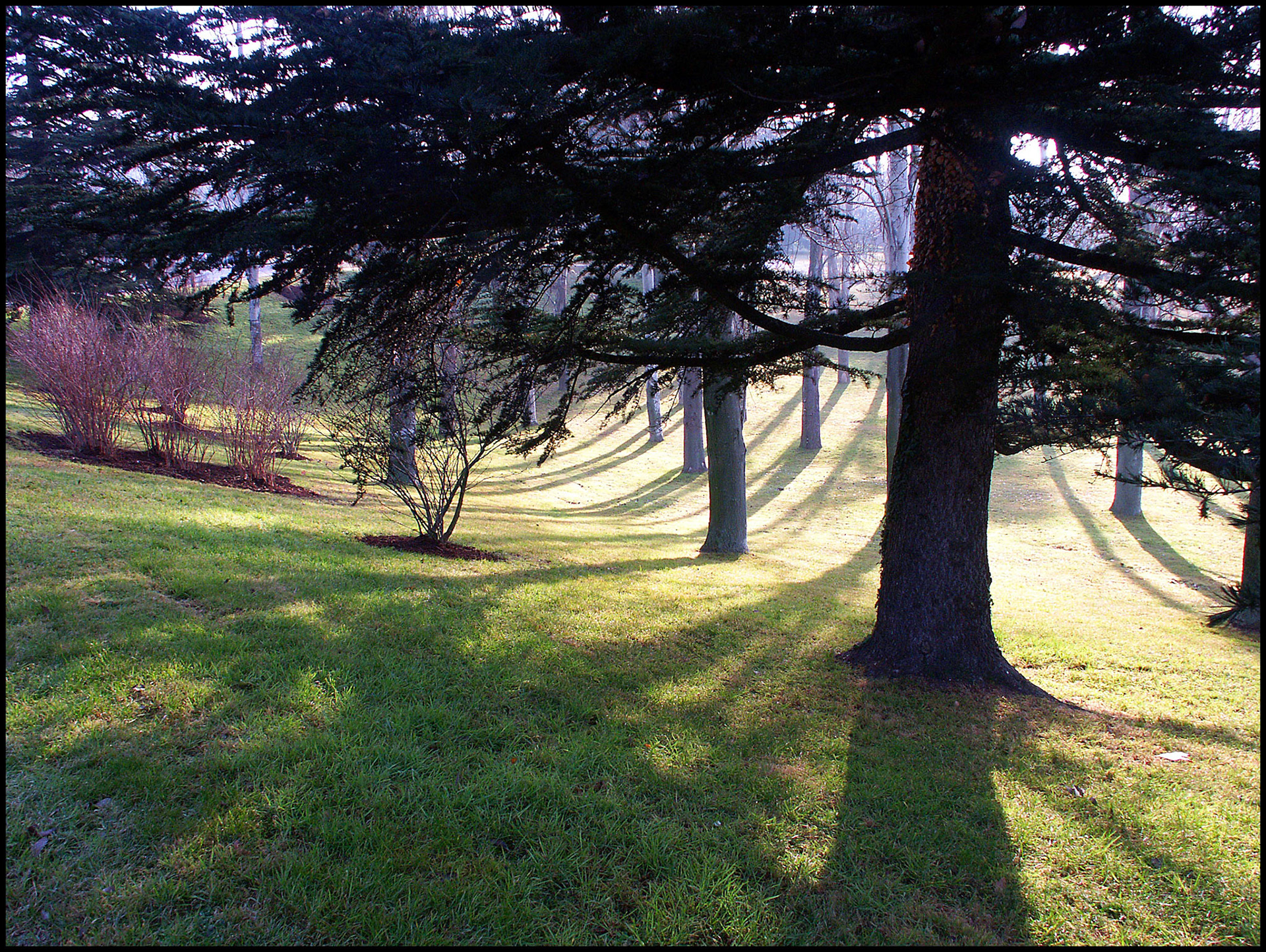 El parque del Oeste de Madrid. Ampliar
