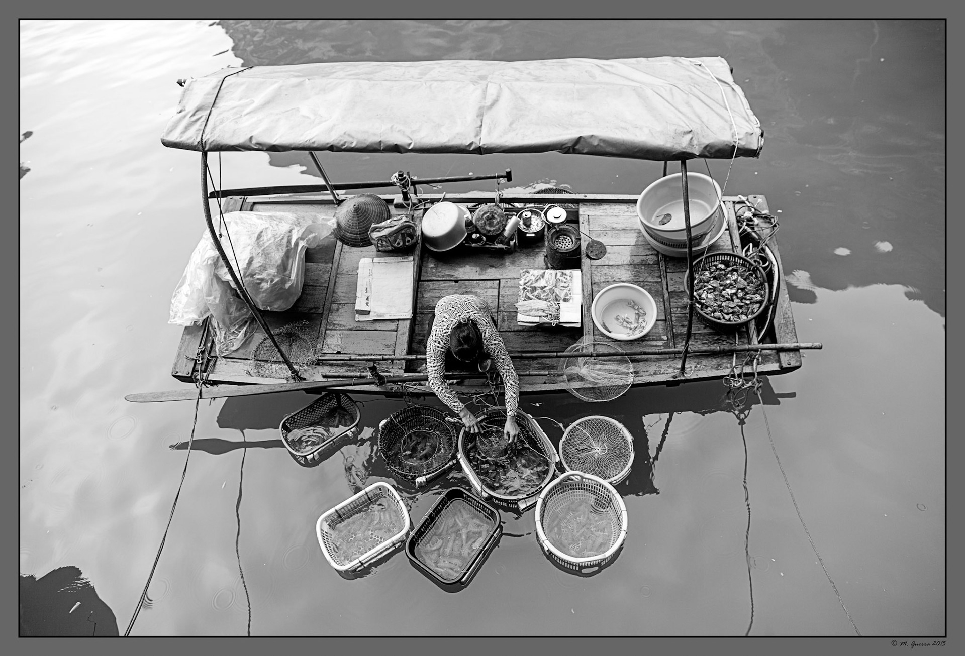 Mujer cultivando marisco en una  cetárea en la Bahía de Ha Long. Ampliar. 100ASA