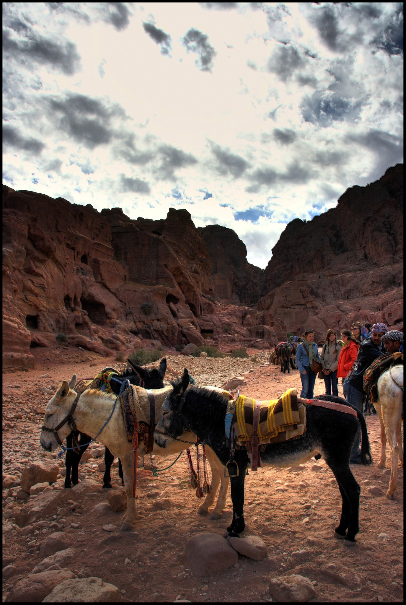 Burros en Petra. Prueba de HDR. Ampliar