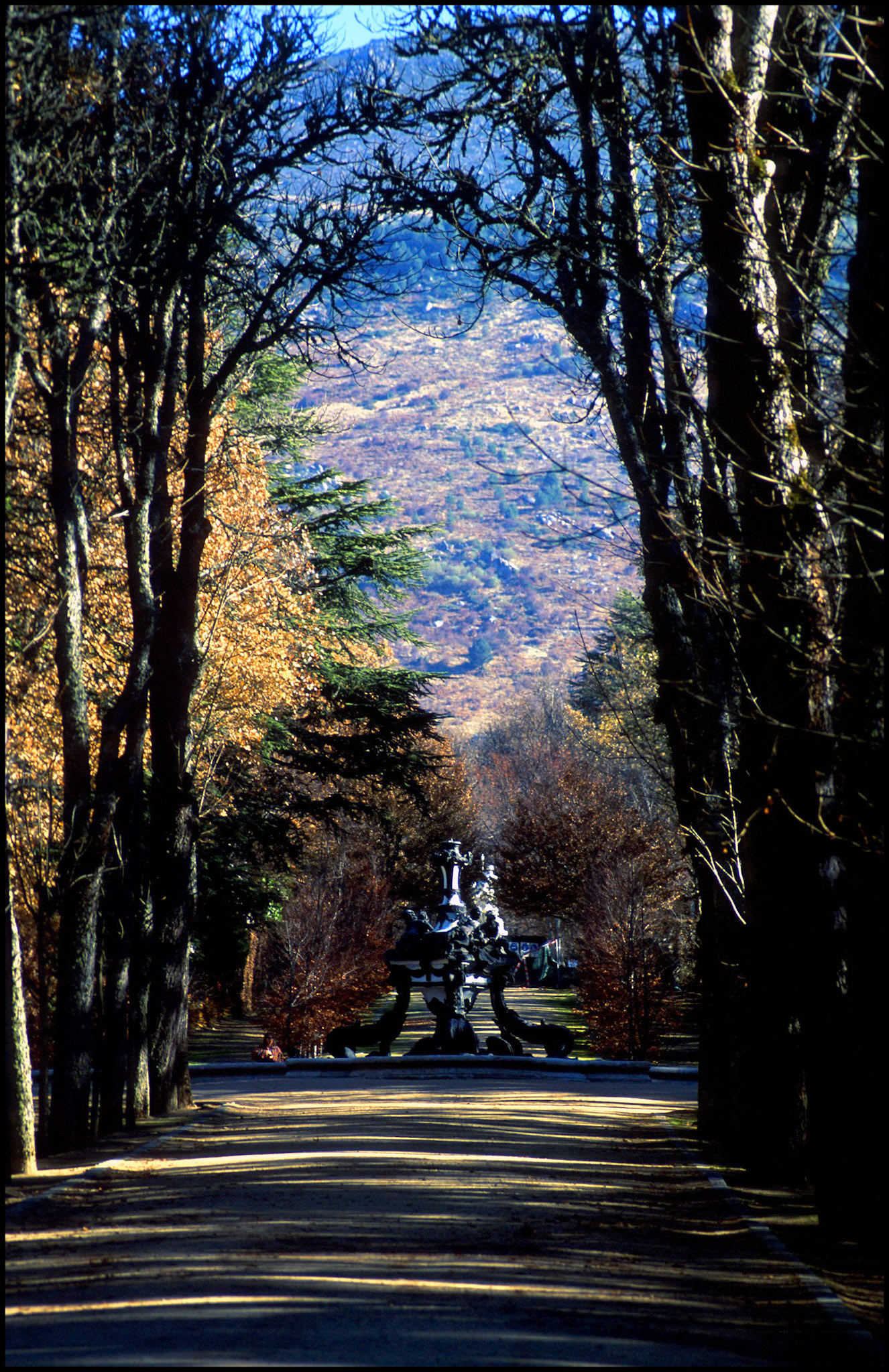 Jardines del Palacio de la Granja en Segovia. Ampliar