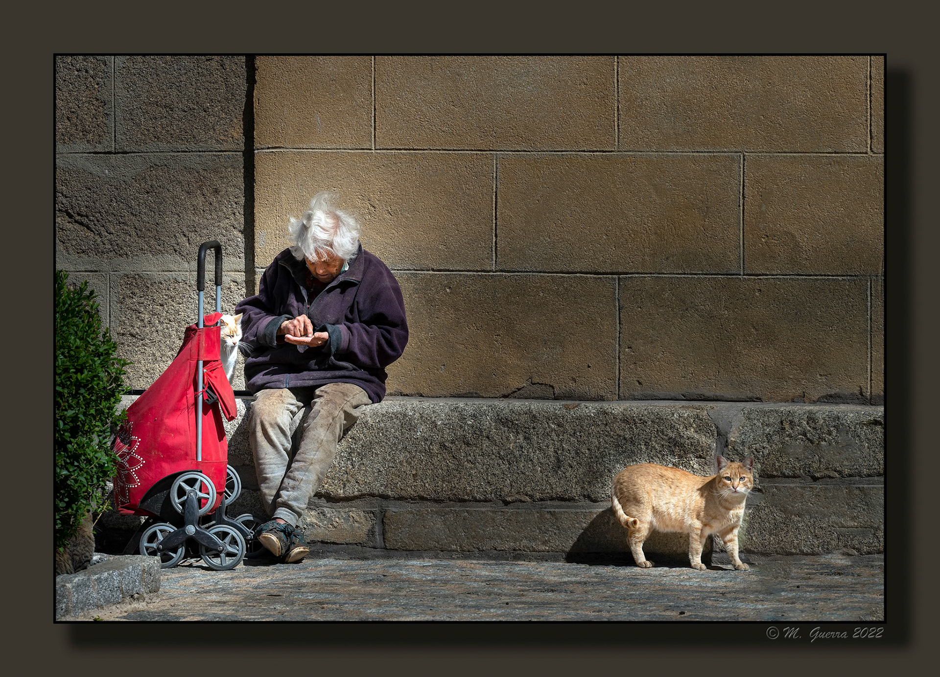 Mendiga con dos gatos en El Tiemblo. 100ASA