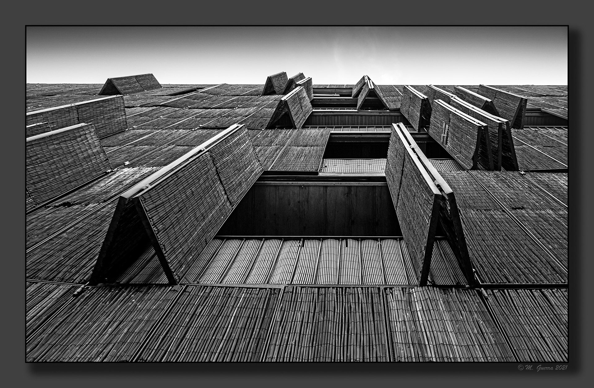 Ventanas en la casa de bambú en el Pau de Carabanchel. 100ASA