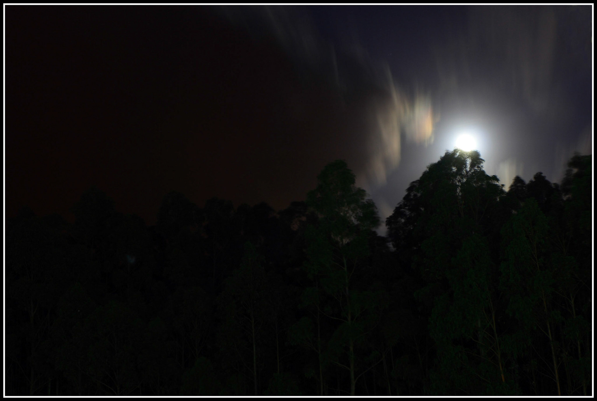 Luna sobre el bosque en Viveiro. Ampliar