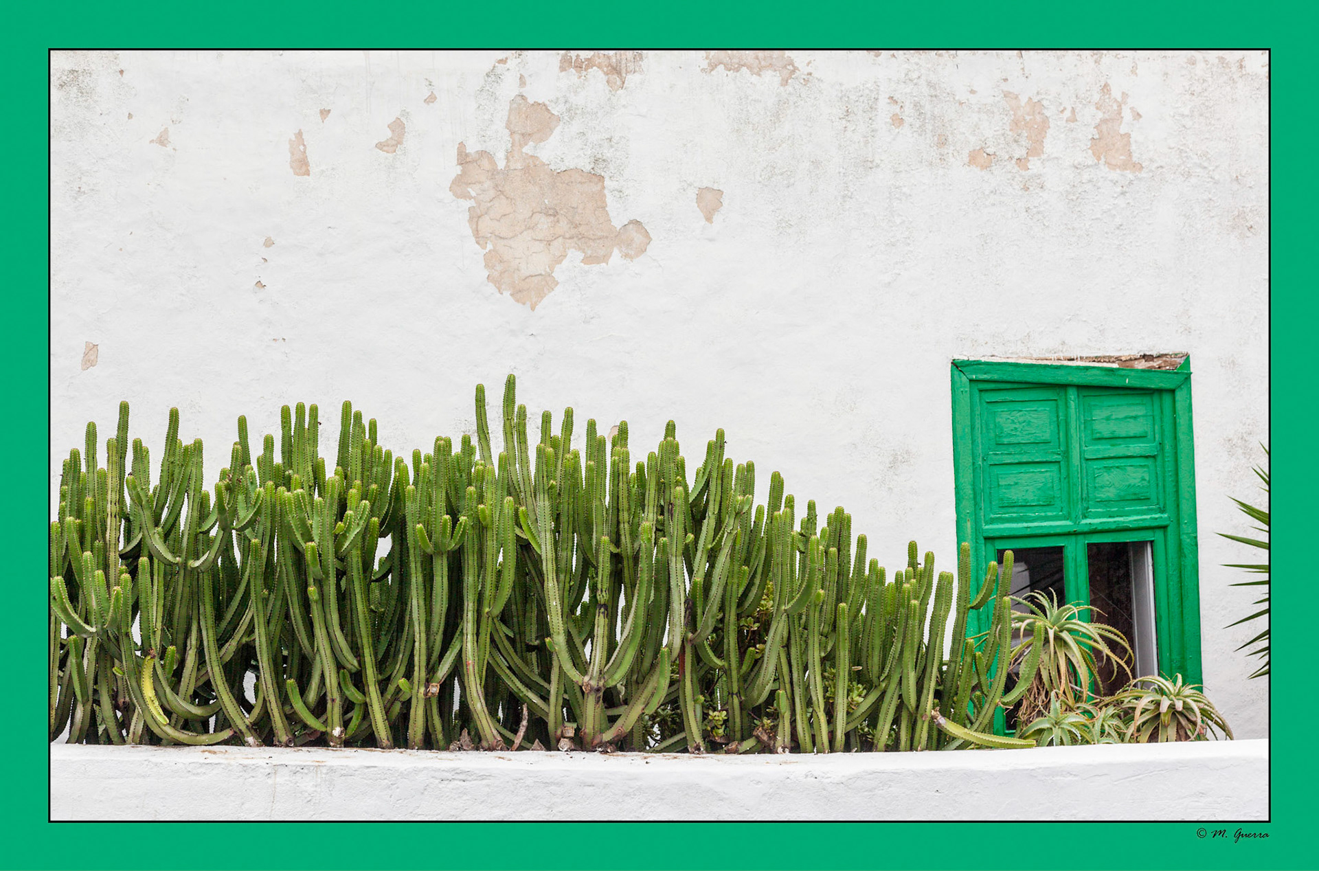 Cactus y pared desconchada con puerta verde en Yaiza, Lanzarote. Ampliar