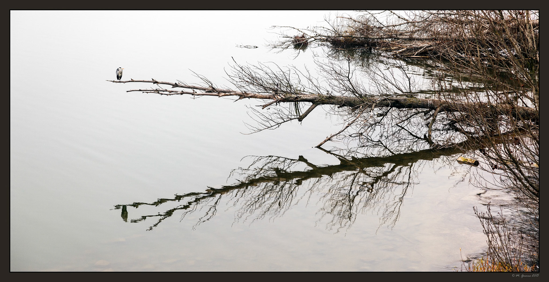 Arboles secos sobre el río Duero de Zamora. Ampliar. 100ASA