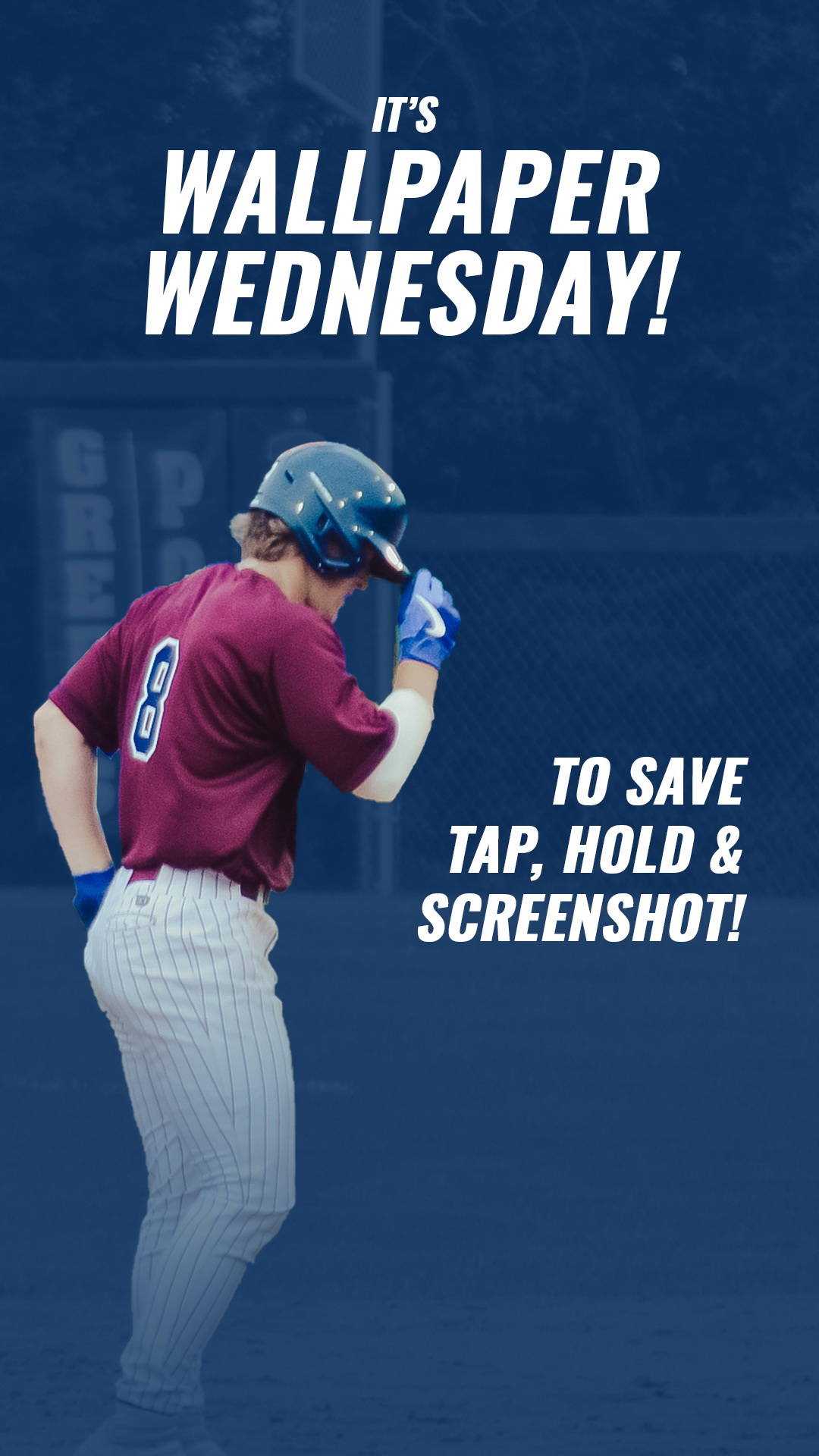 Wallpaper Wednesday!