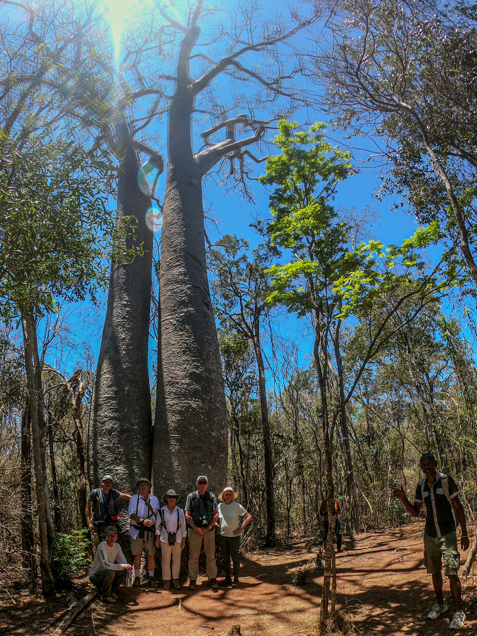The Group with Adansonia Za duo