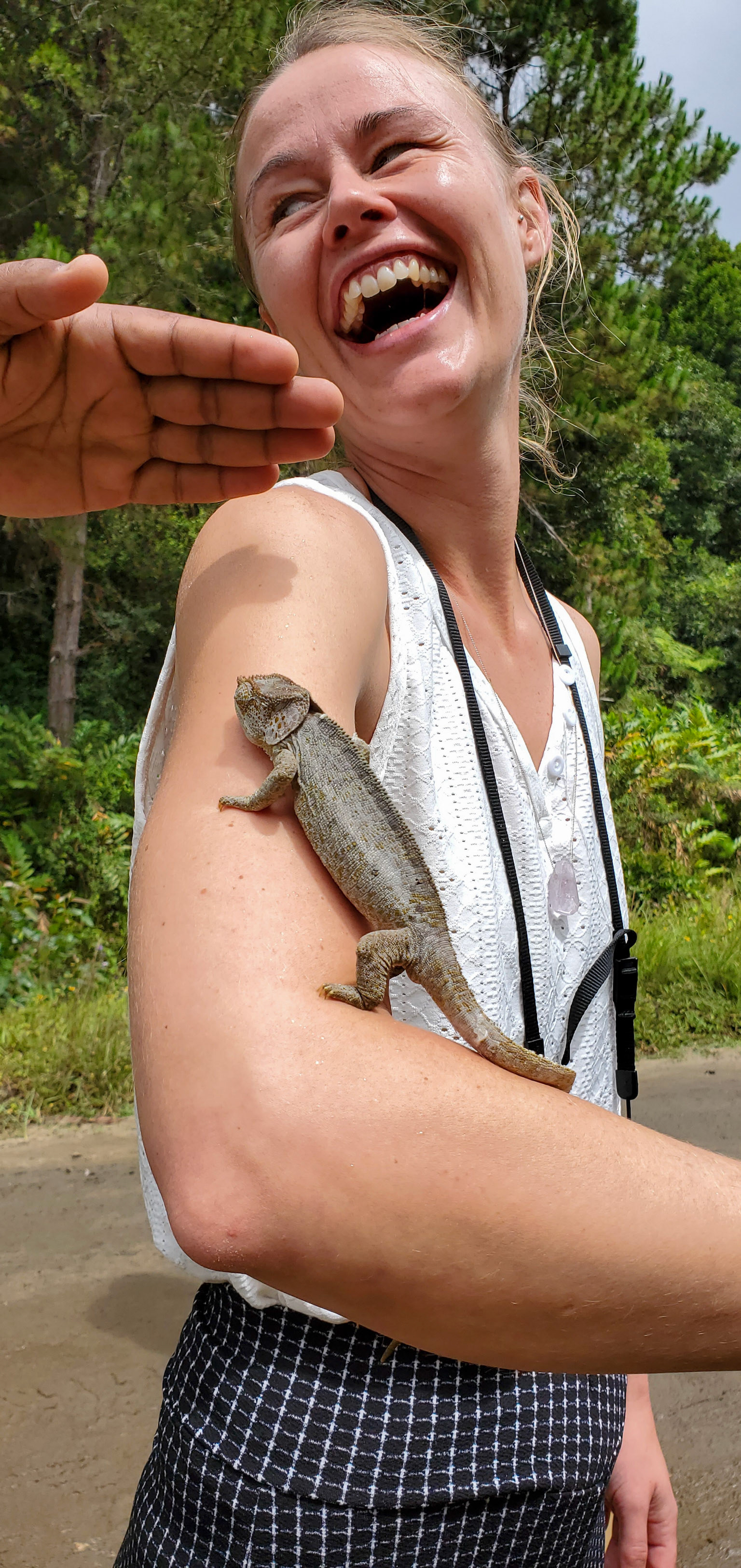 Chameleons are always crowd pleasers, likely because of their panoramic vision and their relatively slow and unique movements allowing observers more time to appreciate their features and behaviours. How could you not smile?!
