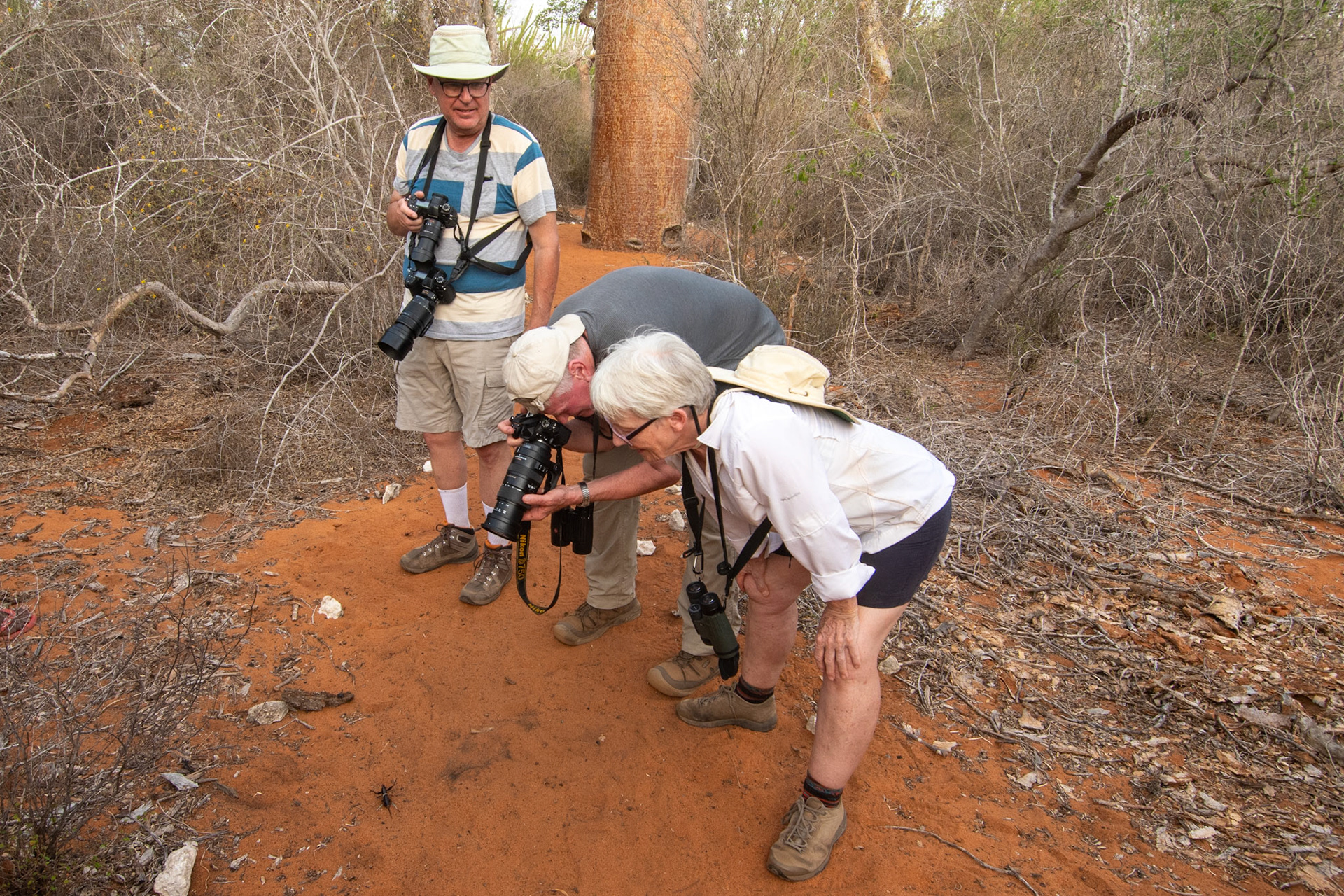 There's lots to see in the Spiny Forest! We were interested in seeing it all, from big to small. 
