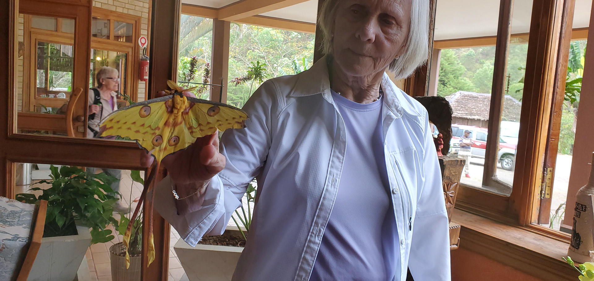 Check out this huge Madagascar Moon Moth  (Argema mittrei)! 