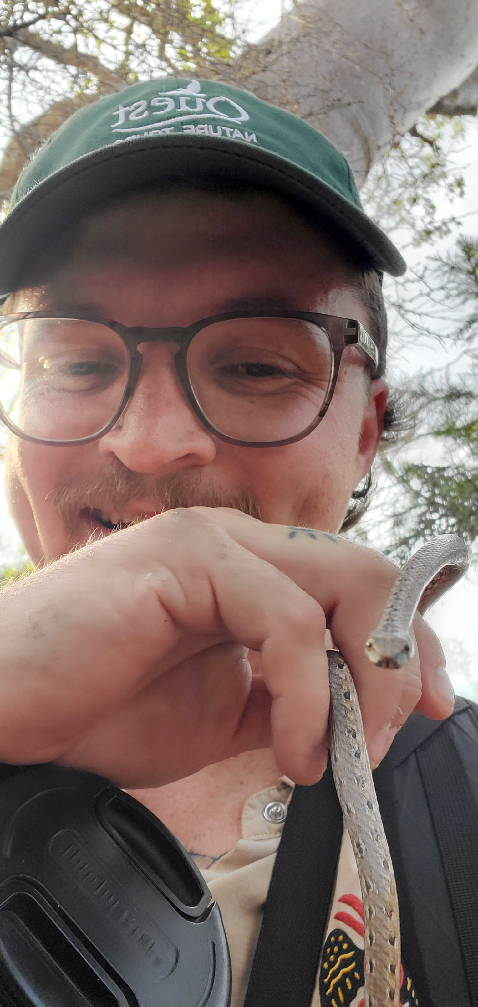 "Say 'mahfalensis' "